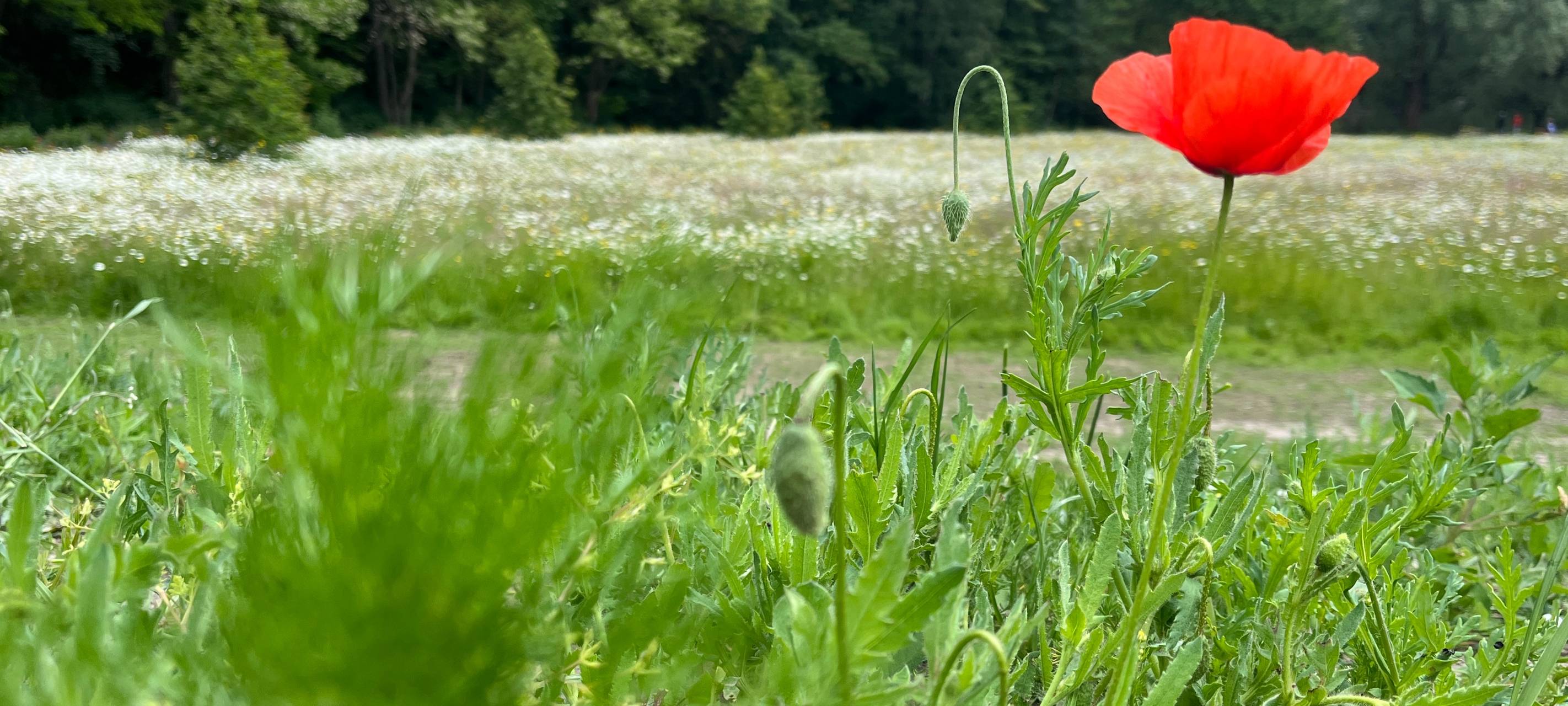 Alles neu in den Revierparks Gelsenkirchen und Bottrop