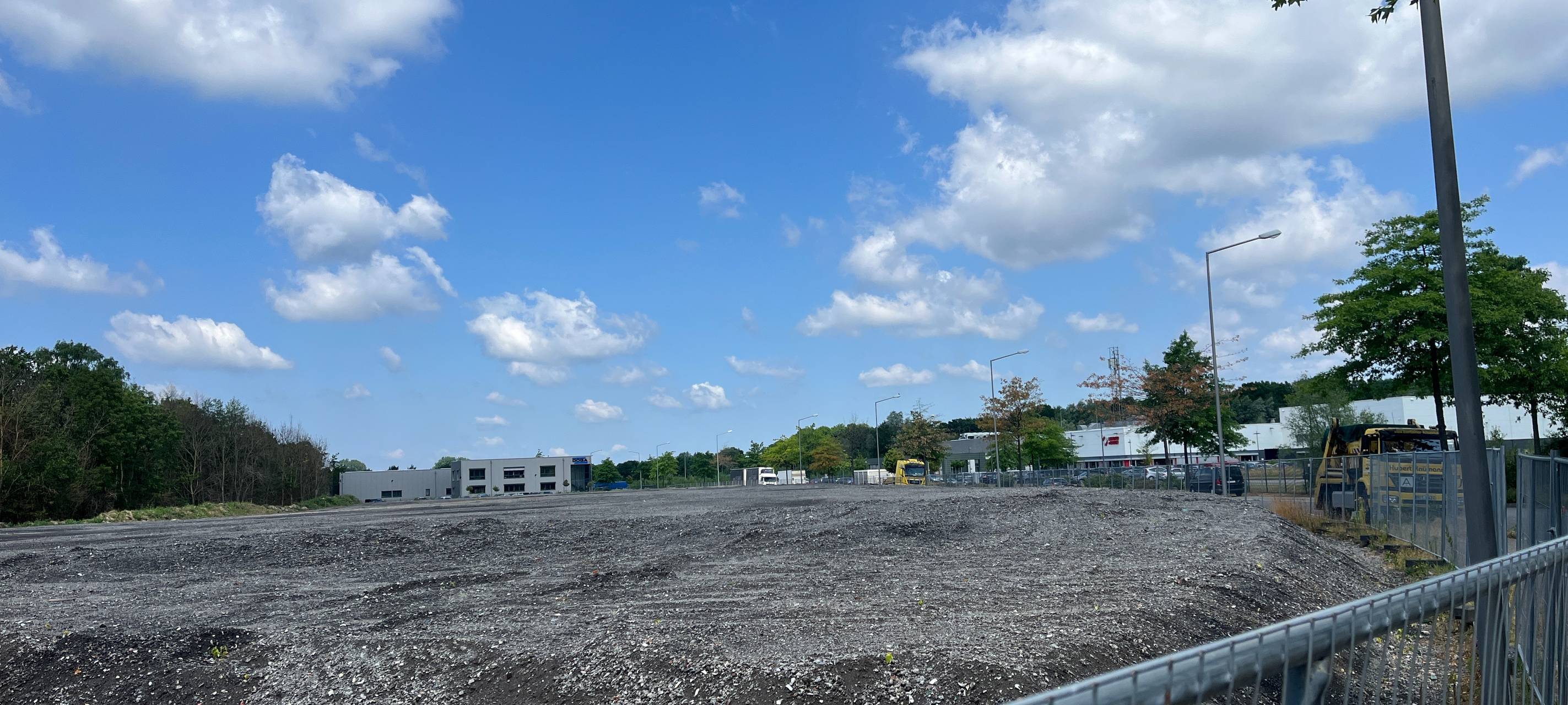 Bäume ohne Blätter - Umweltschäden in Gladbeck?