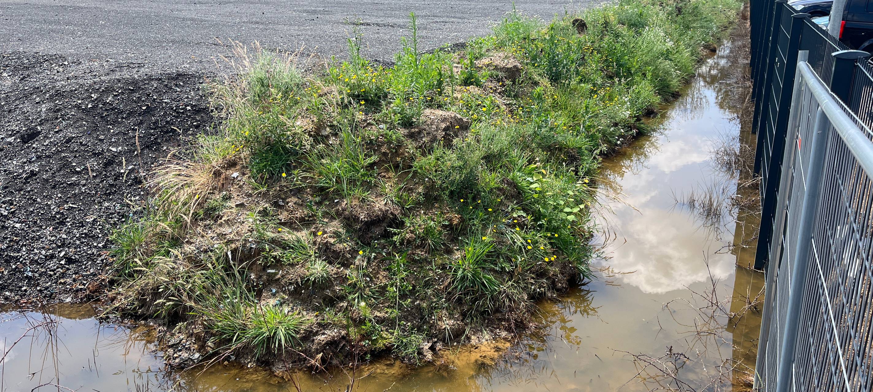 Untersuchung: Erhöhte Salzwerte in Gladbeck-Alt-Rentfort