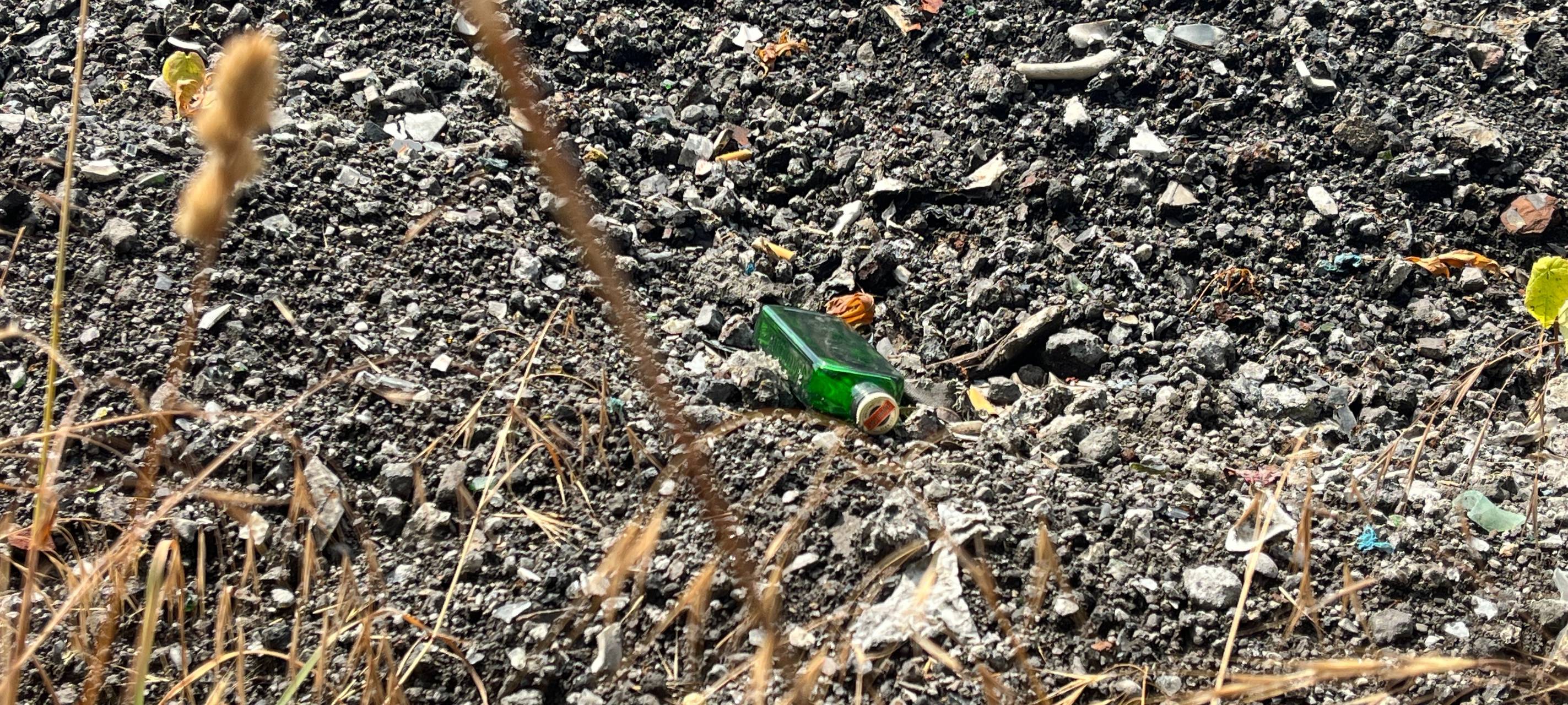 Bäume ohne Blätter - Umweltschäden in Gladbeck?