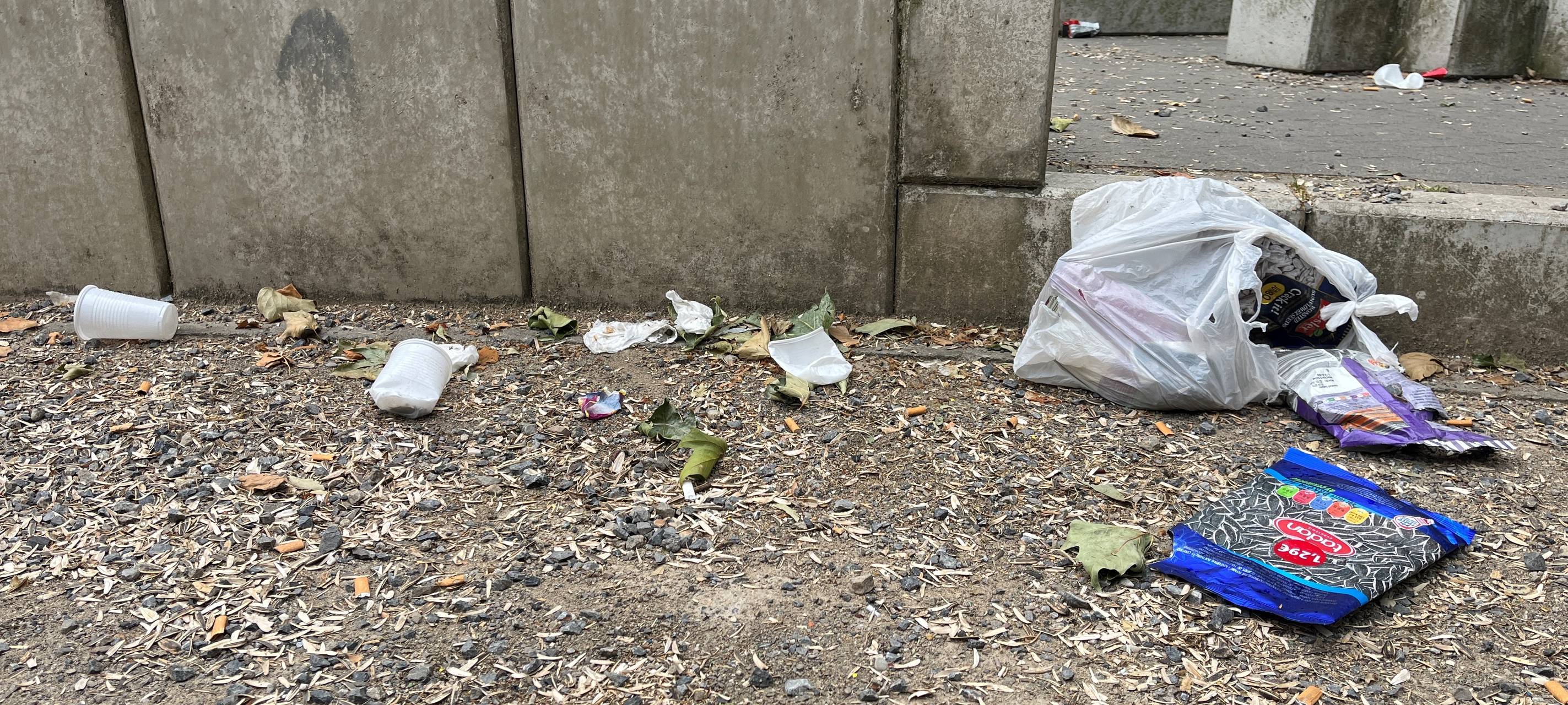 Was tun gegen Ratten bei uns?