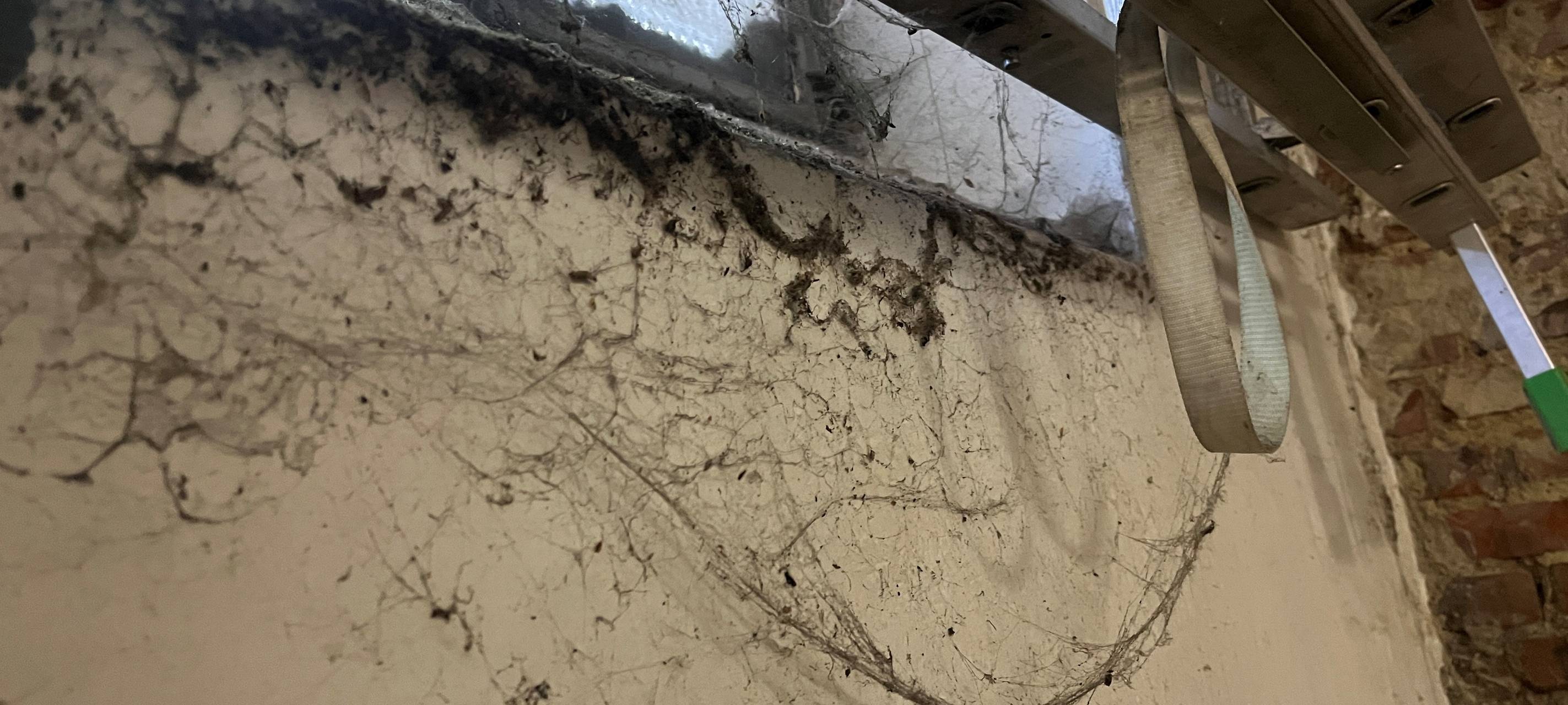 Bottrop: So ist der Stand beim geplanten Rathaus-Anbau