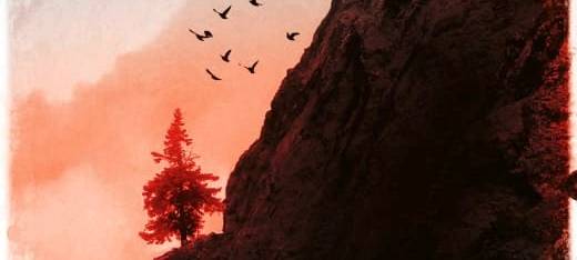 Buchtipp: "Wolfskinder"