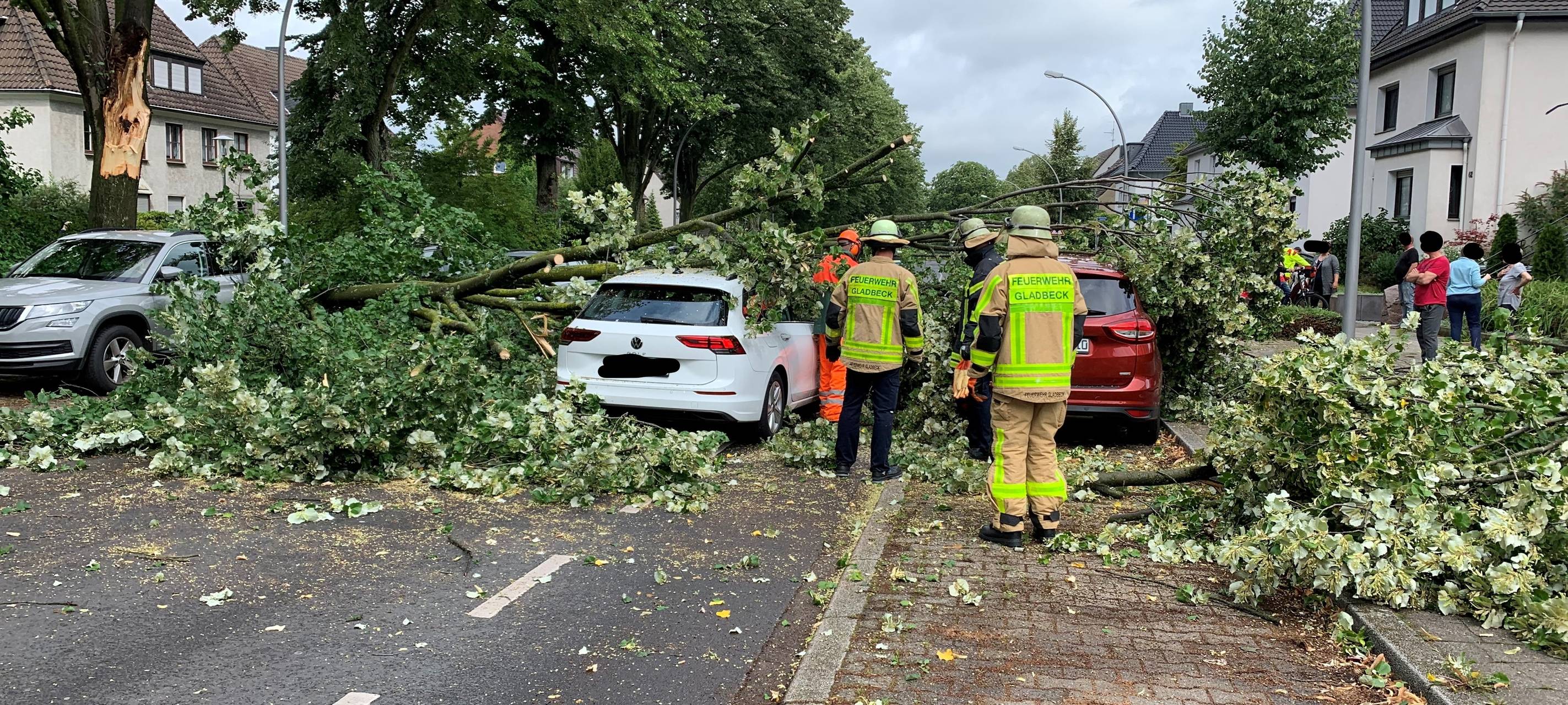Autofahrer in Gladbeck durch abgebrochenen Ast verletzt