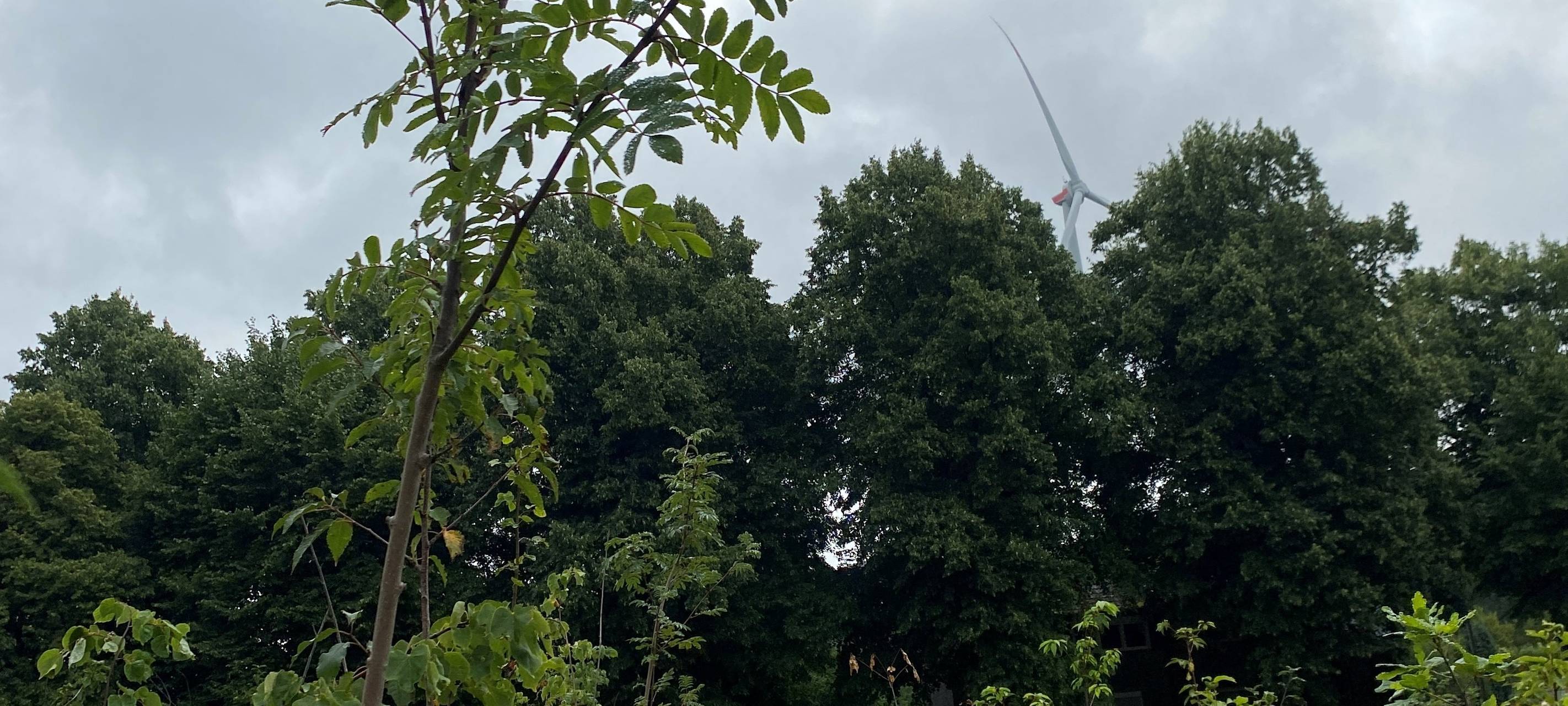 Schilder informieren über Naturschutz im Wald