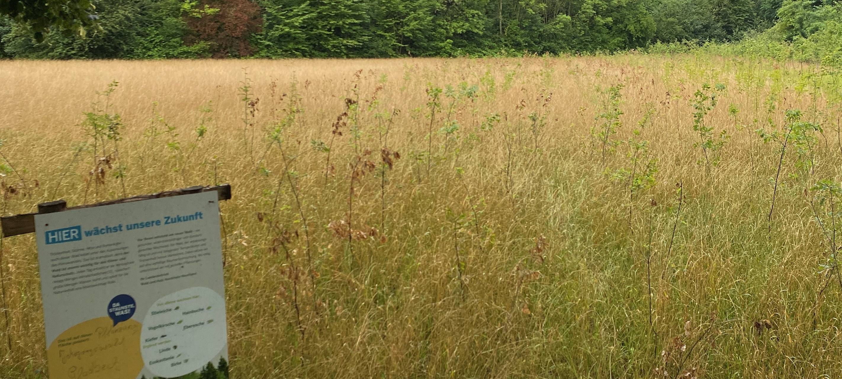 Schilder informieren über Naturschutz im Wald