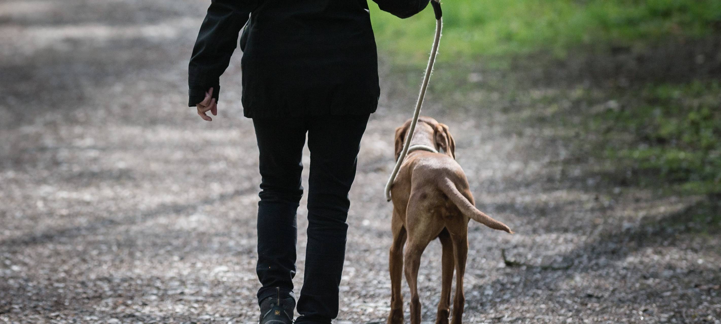 Gelsenkirchen: Mann hetzt Hund auf Frau