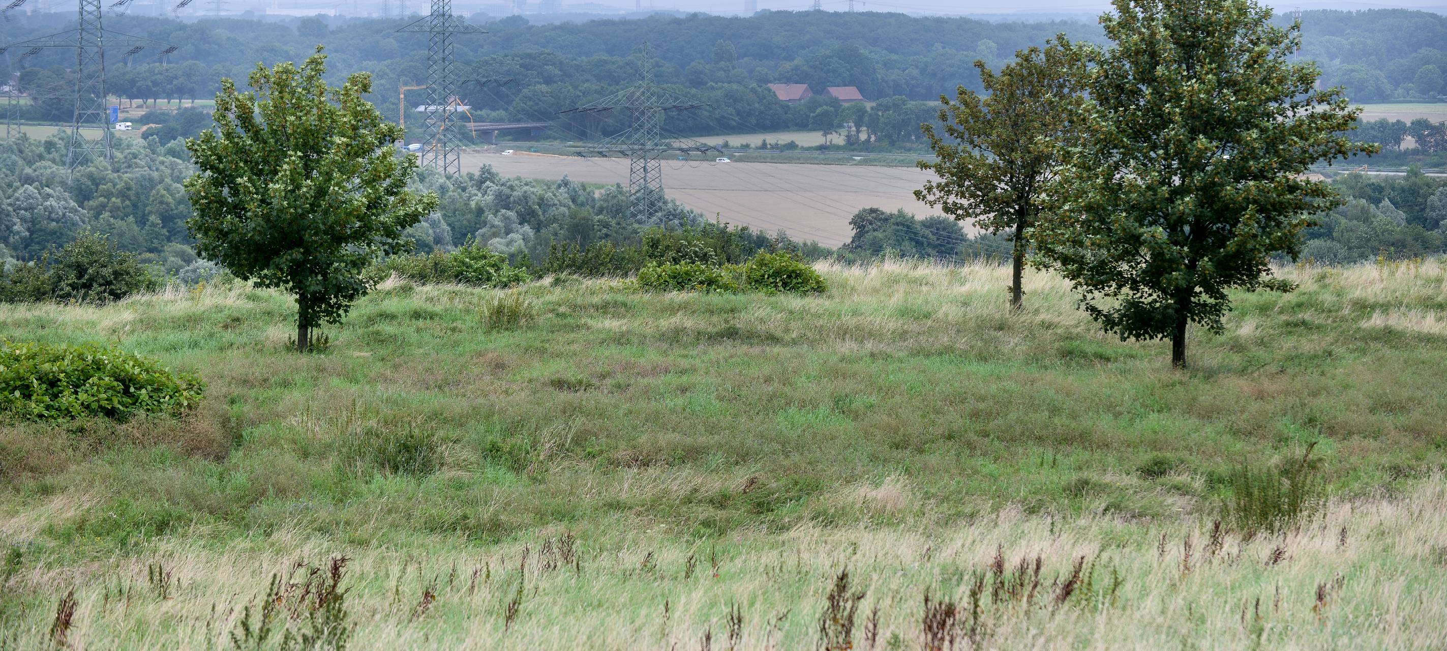 Halde Scholver Feld wird instandgesetzt