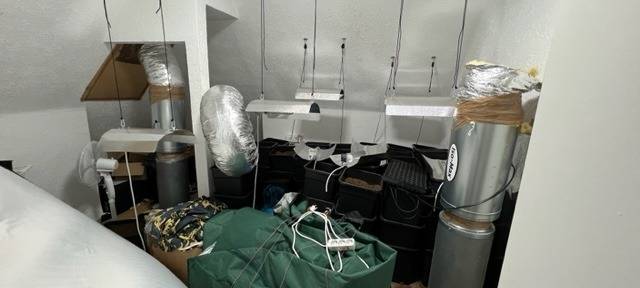 Dortmunder mit Cannabis in Gelsenkirchen erwischt