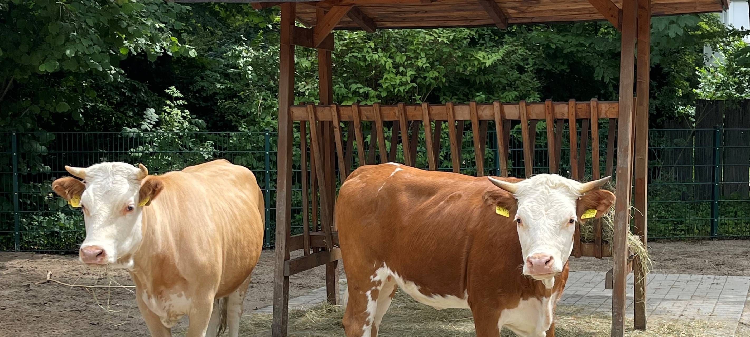 Bedrohte Nutztierrassen ZOOM-Erlebniswelt