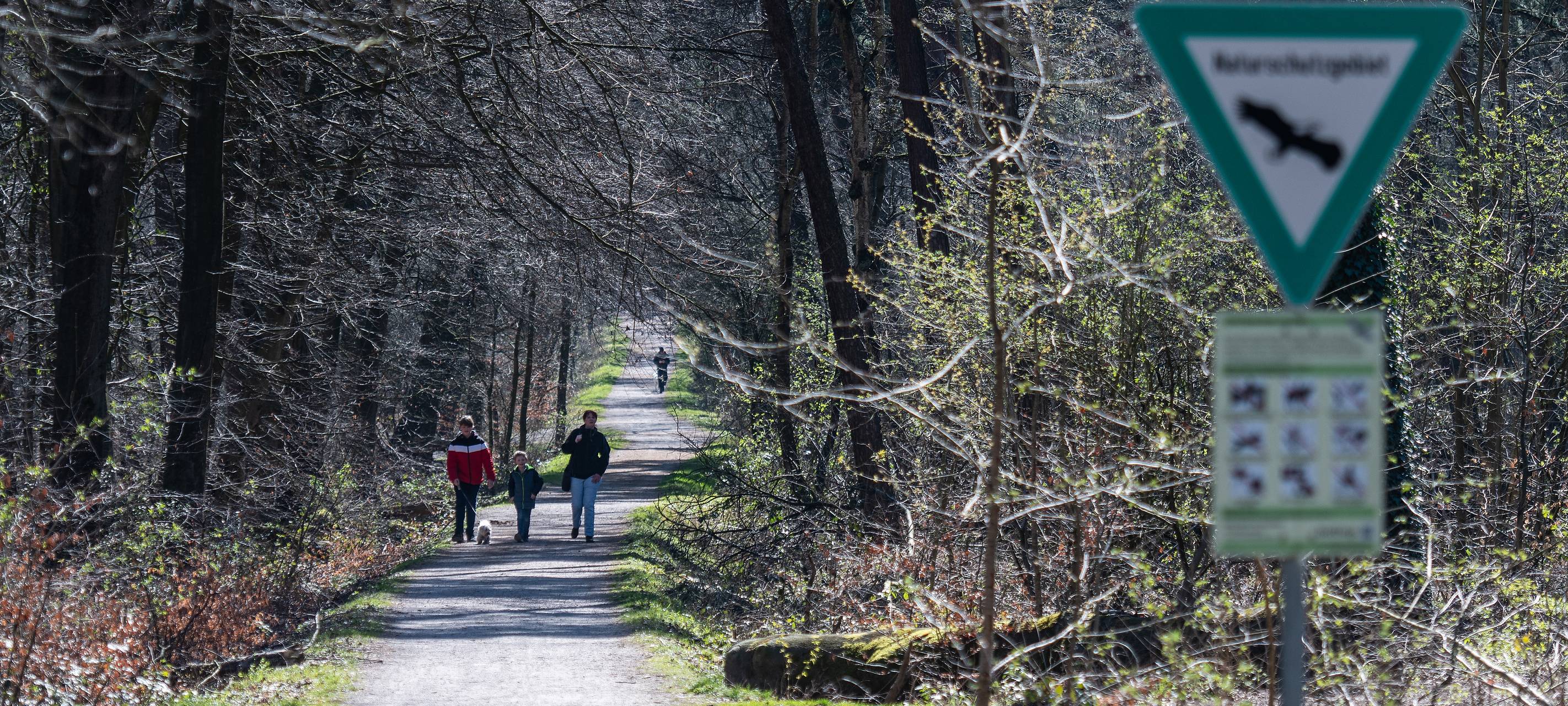 Bottrop: Wälder sollen sich nachhaltig erholen