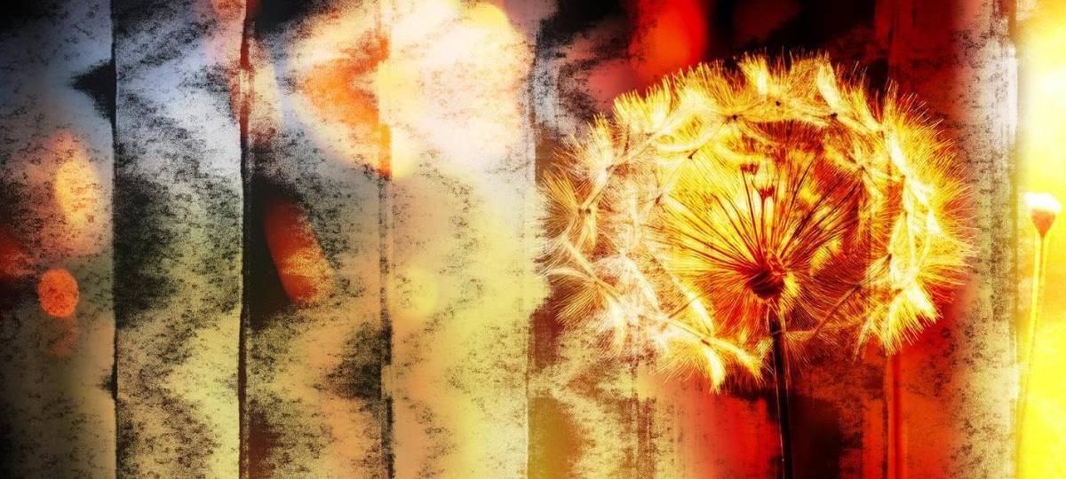 Marshmello x P!NK x Sting - Dreaming