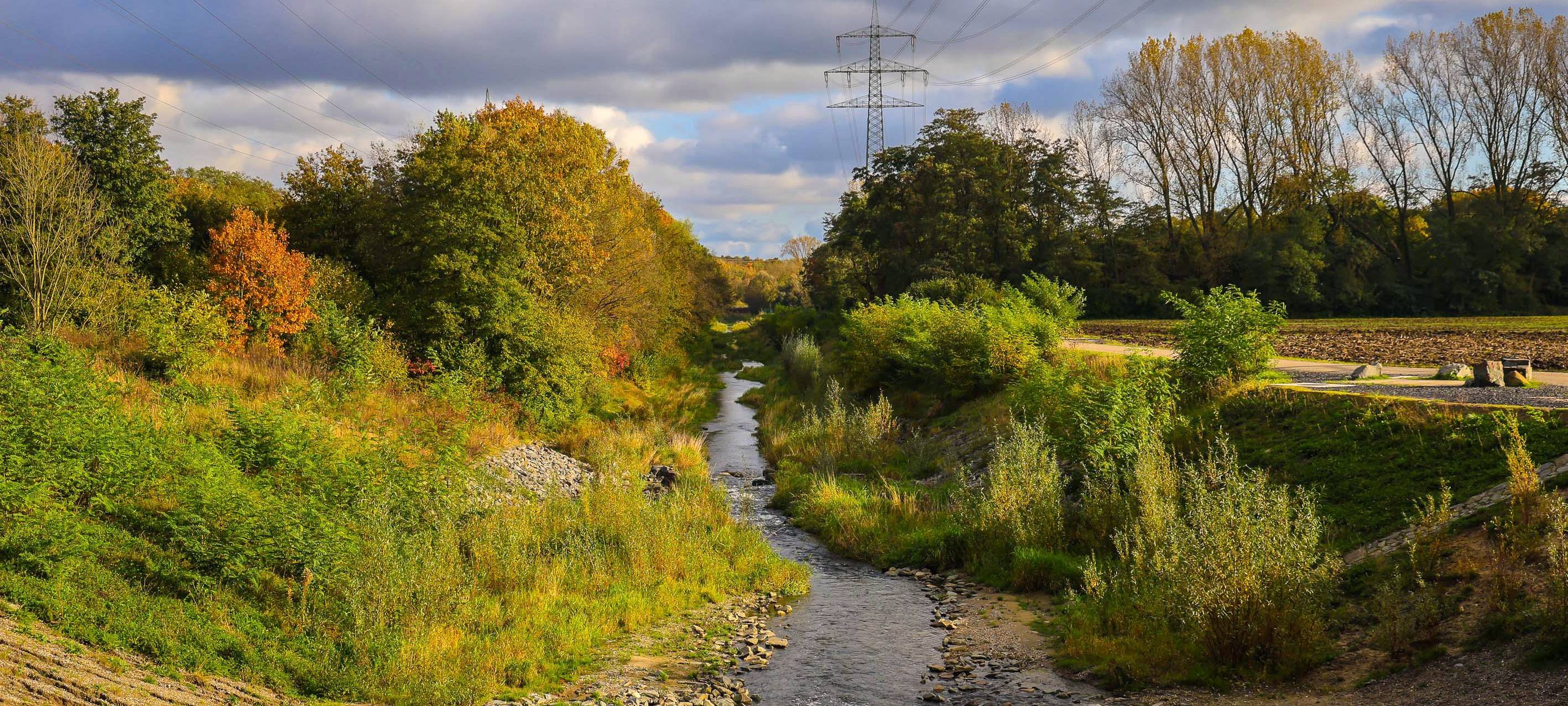 Bottrop: Grünschnitt für Forschungsprojekt