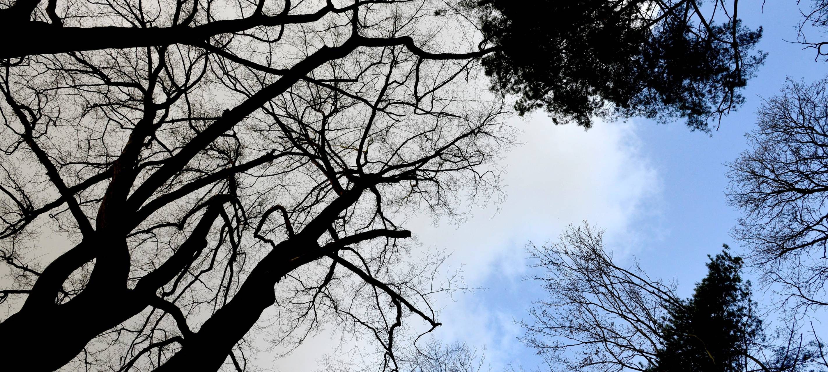 Warnung vor Sturmböen bei uns - Unfall in Gelsenkirchen