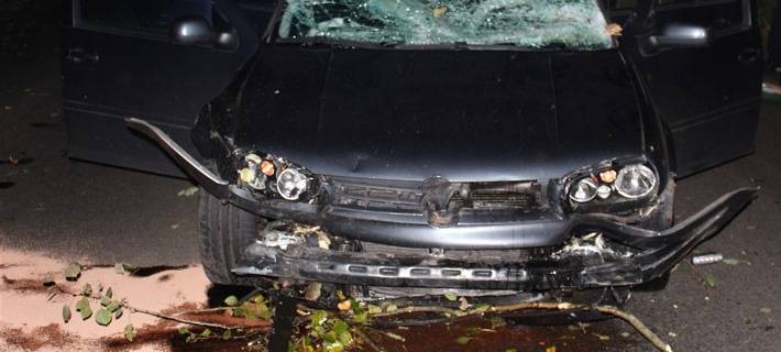 Baum stürzt in Gelsenkirchen auf Auto