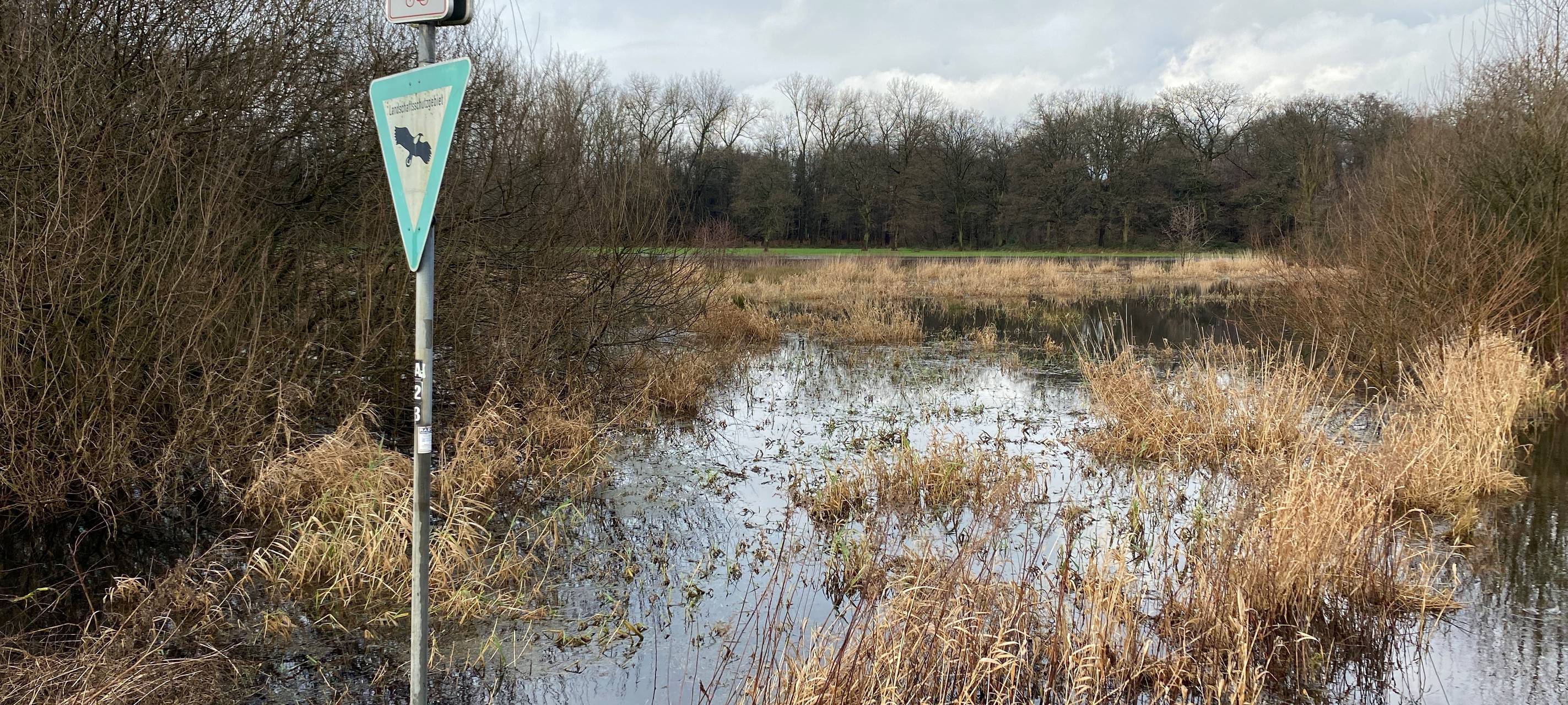 Dauerregen beschäftigt die Förster bei uns