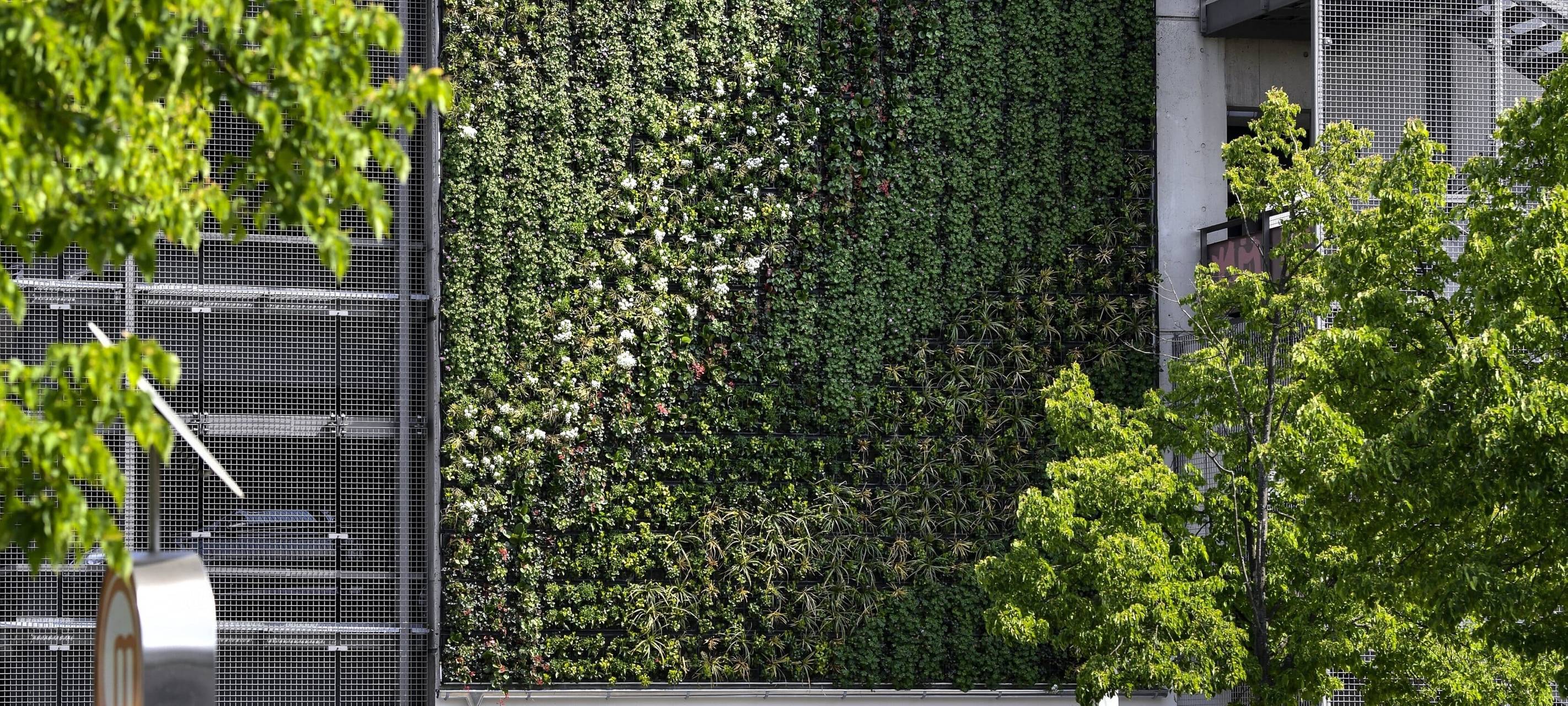 Hochwasserschutz: Städte müssen saugfähiger werden