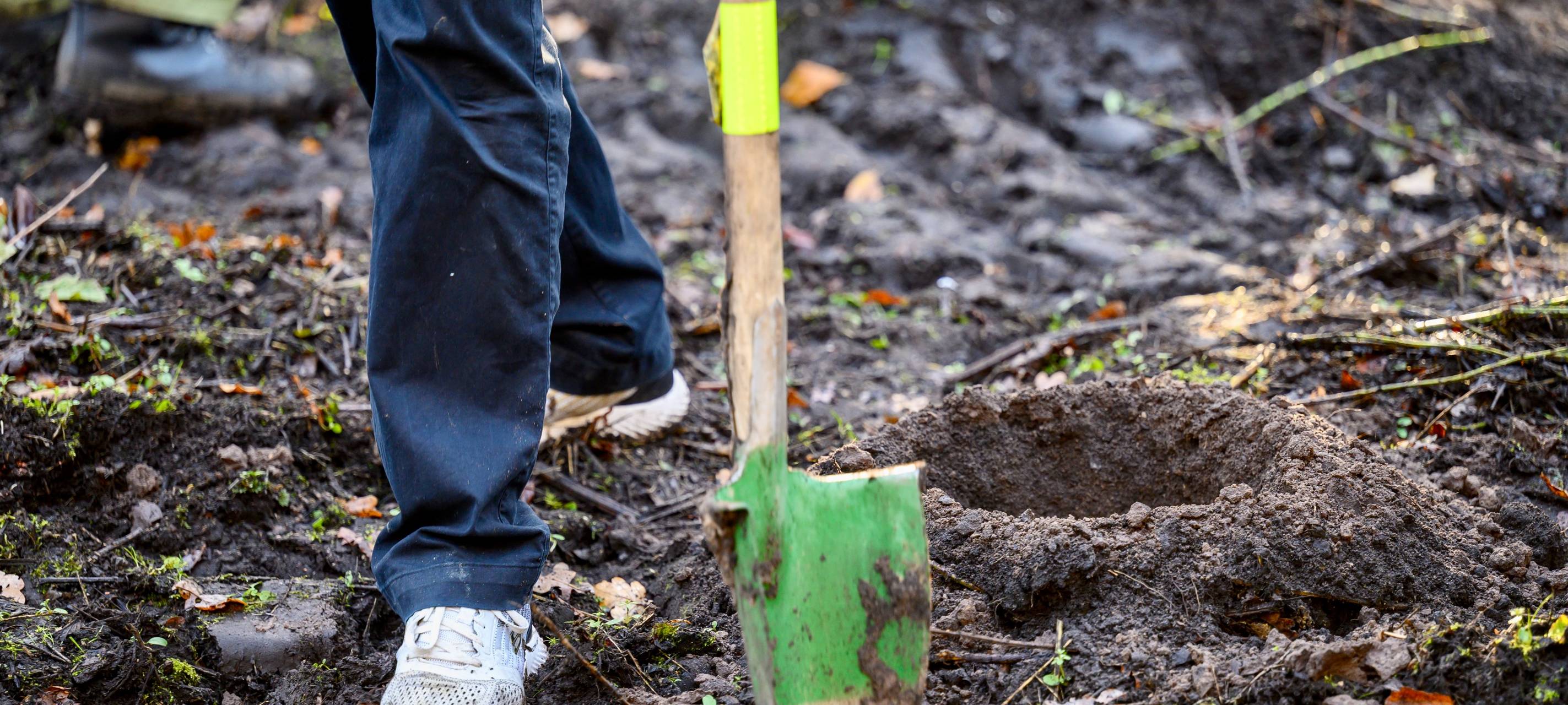 Gelsenkirchen: 150 neue Bäume für den Emscherbruch