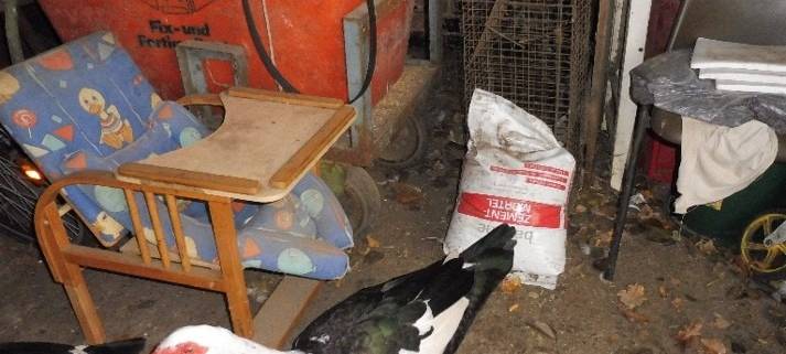 Mehr Tierschutzkontrollen in Gelsenkirchen