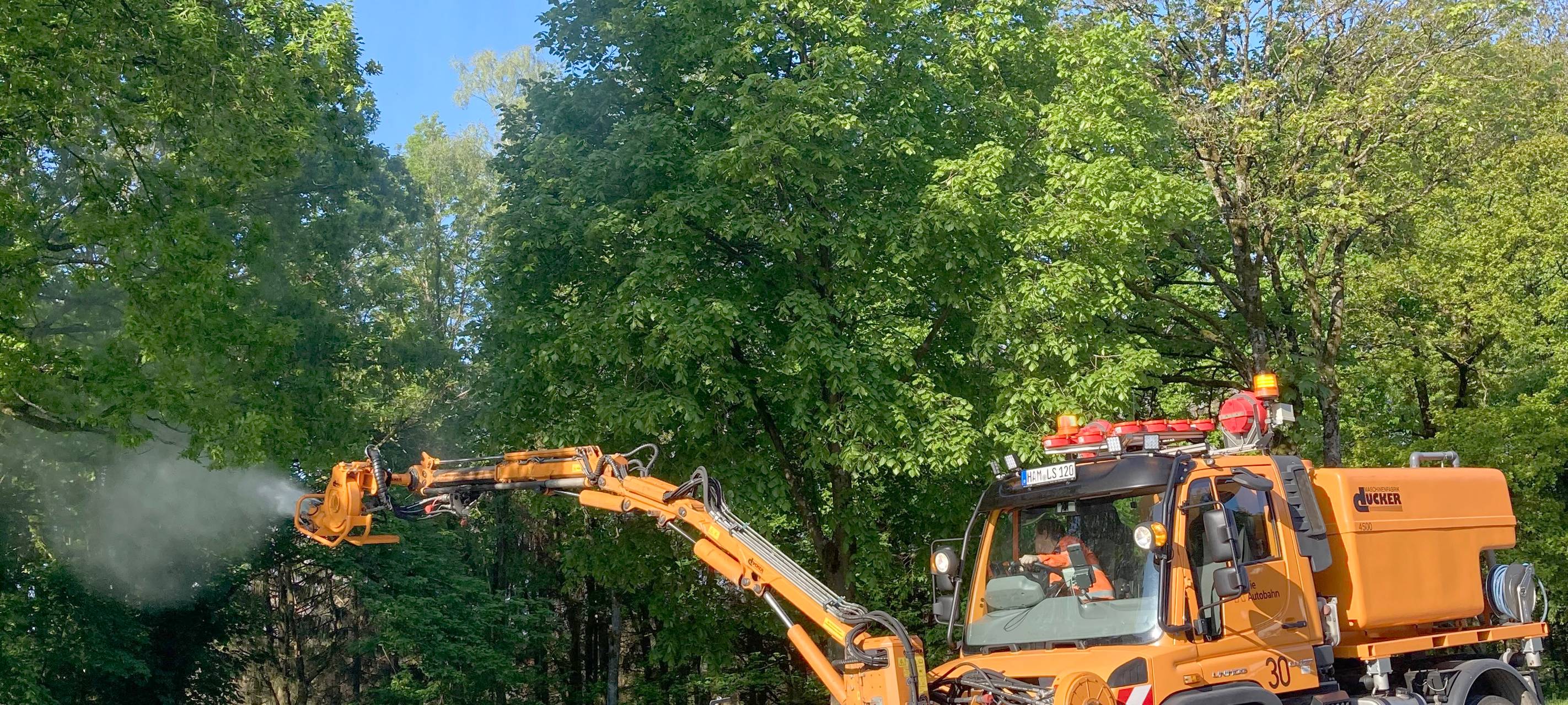 Kampf gegen Eichenprozessionsspinner