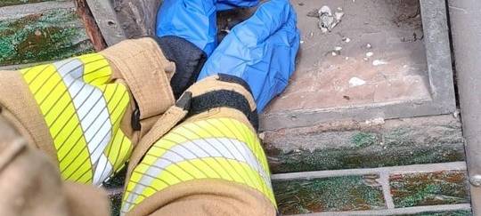 Gelsenkirchener Feuerwehr rettet Eichhörnchen und Vogel