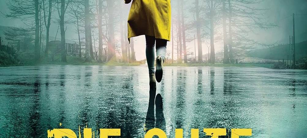 Buchcover: Die gute Schwester