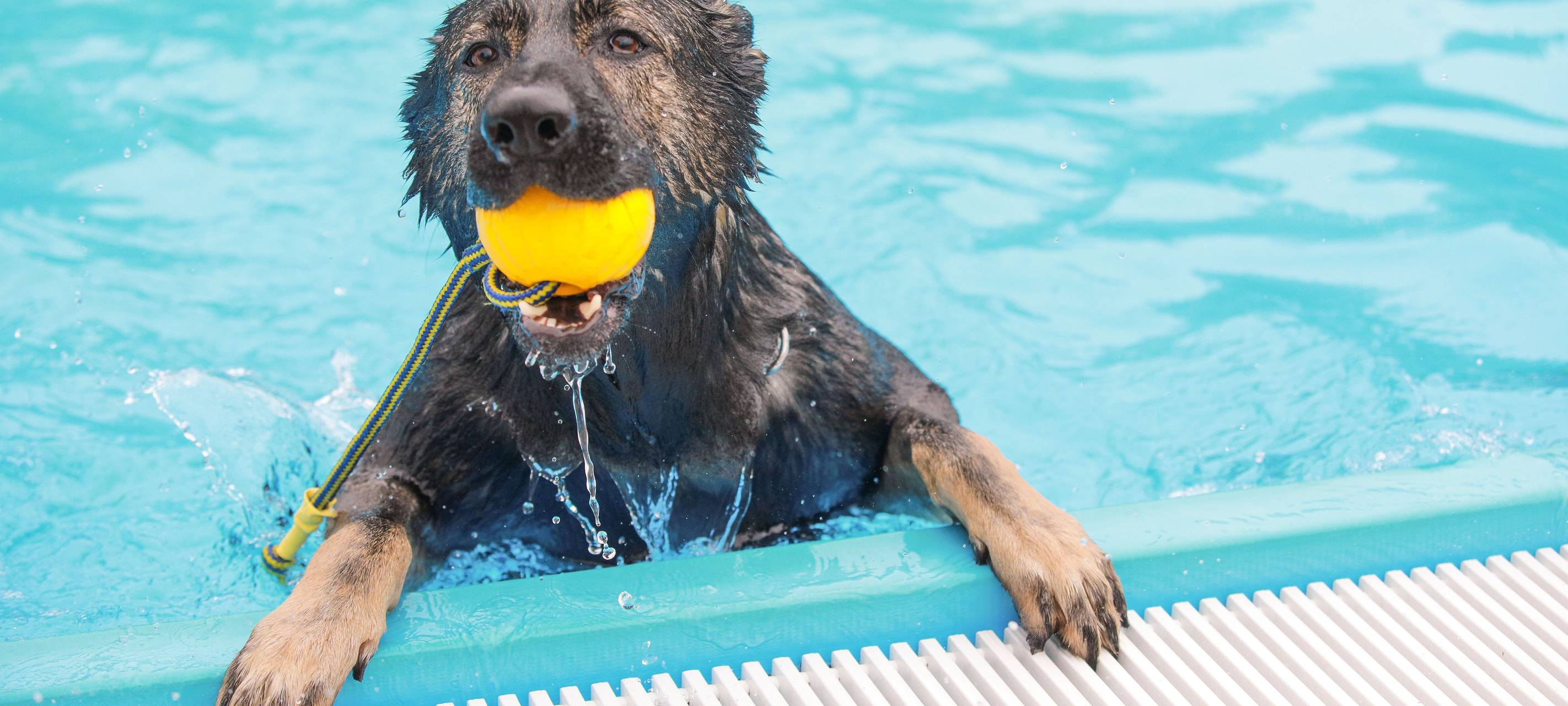 Freibadsaison in Bottrop endet an diesem Wochenende