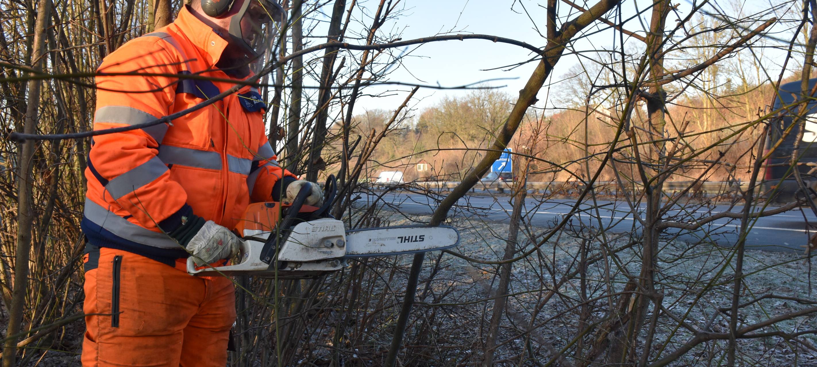 Gehölzpflege an Autobahnen
