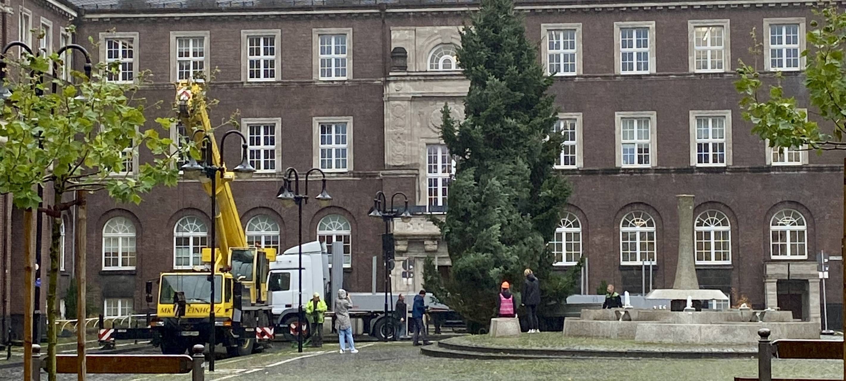 Weihnachtsbaum auf dem Bottroper Rathausplatz steht