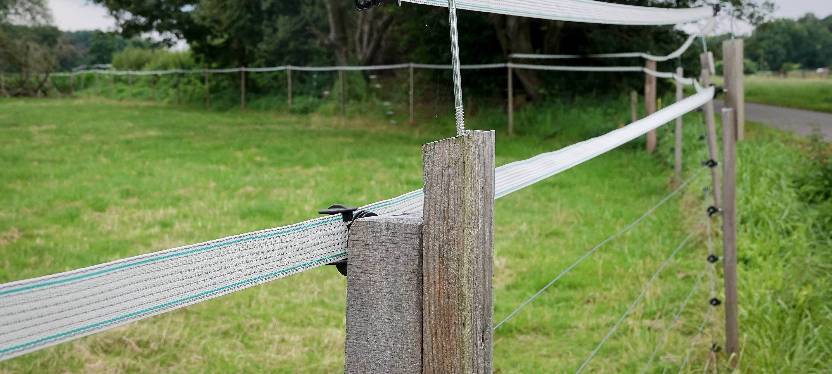 Förderung für Herdenschutz im Bottroper Norden