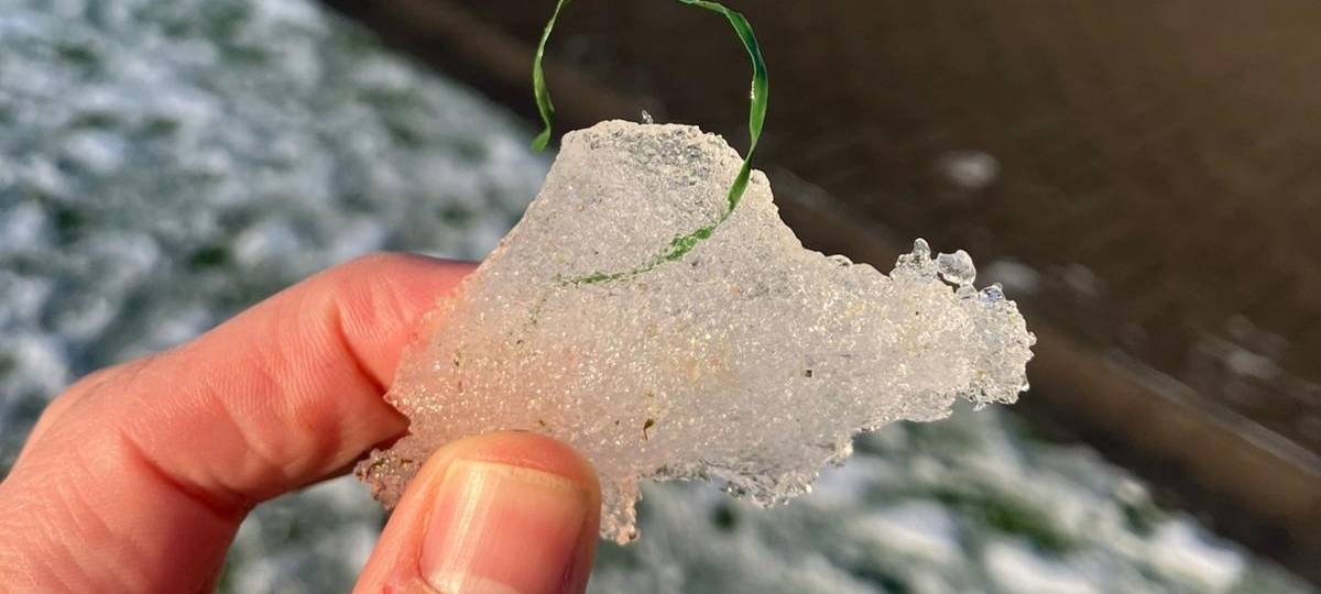 Bottroper Sportplätze bleiben am Wochenende gesperrt