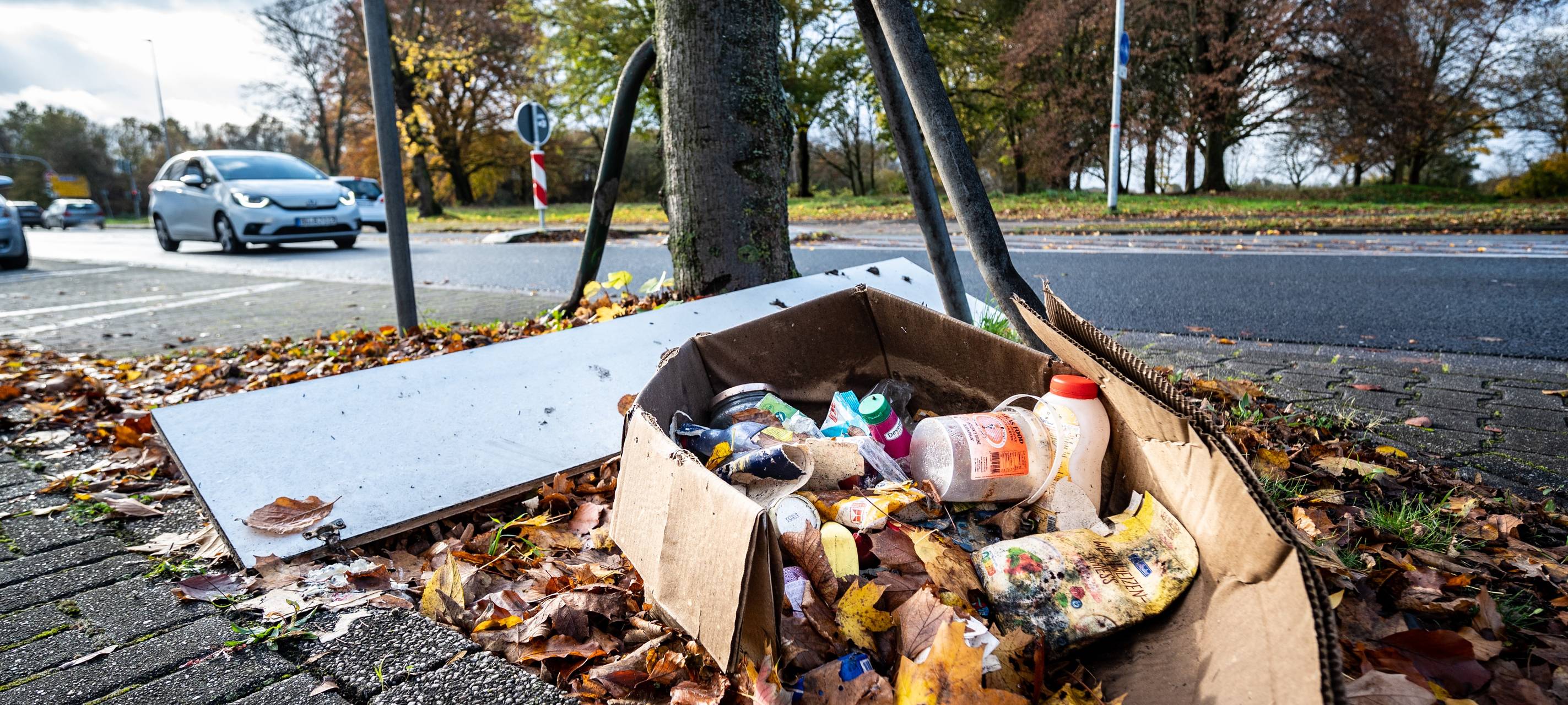 Müllflut in unseren Städten - was dagegen getan wird