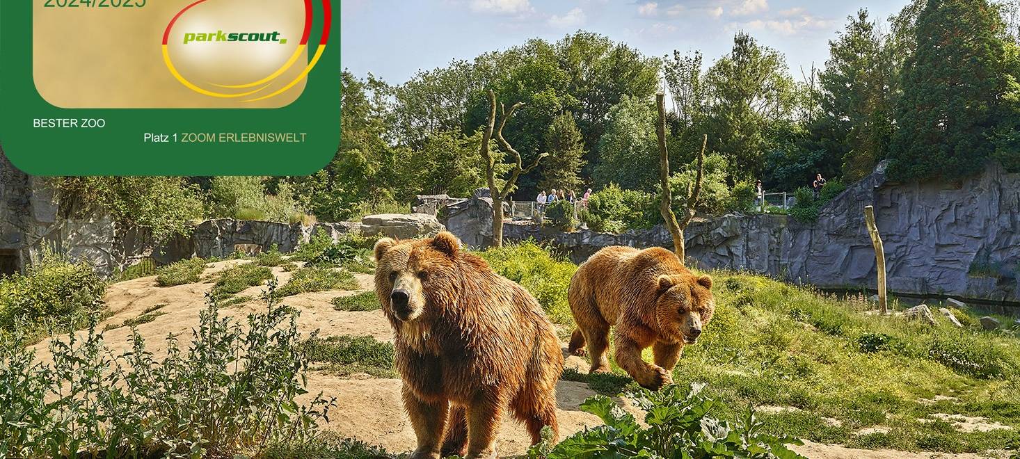 Gelsenkirchen: Zoom Erlebniswelt bleibt beliebtester Zoo