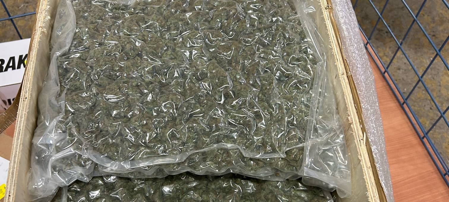 Gelsenkirchen: Zollhund erschnüffelt riesige Menge Marihuana