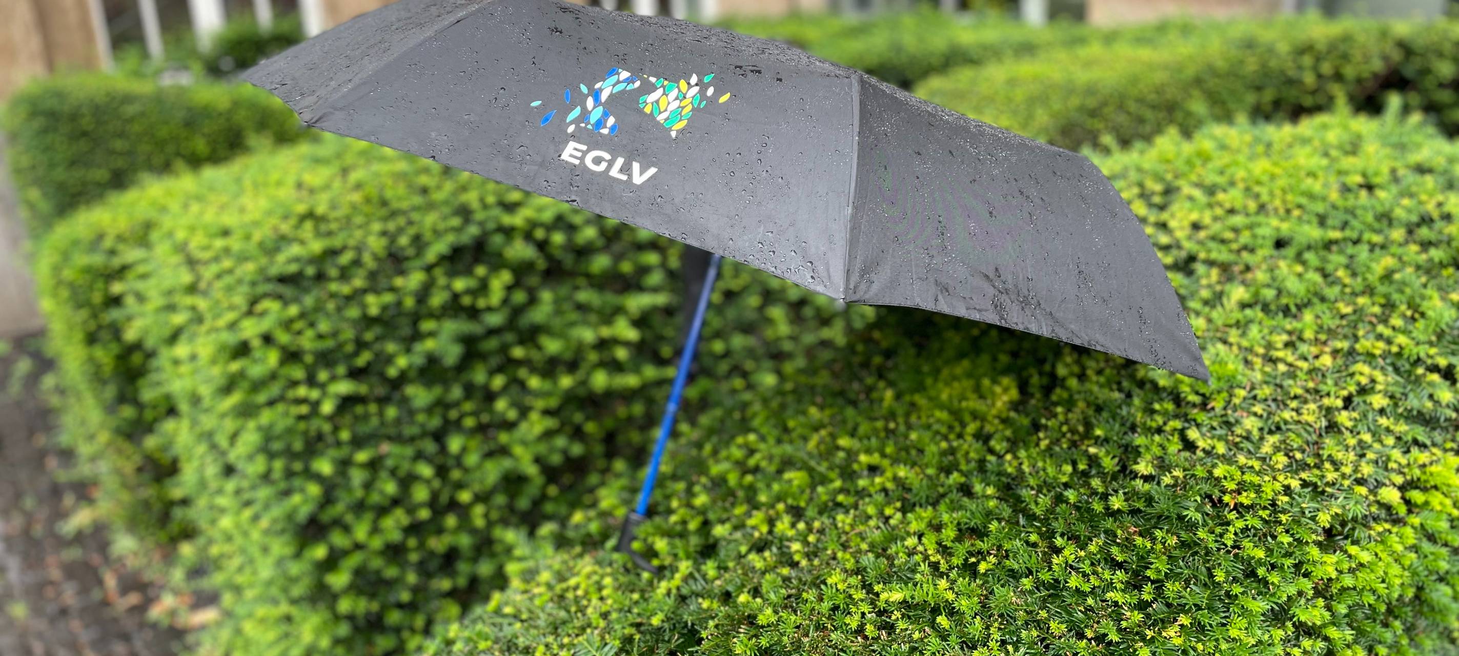 Februar bei uns war besonders trocken und warm