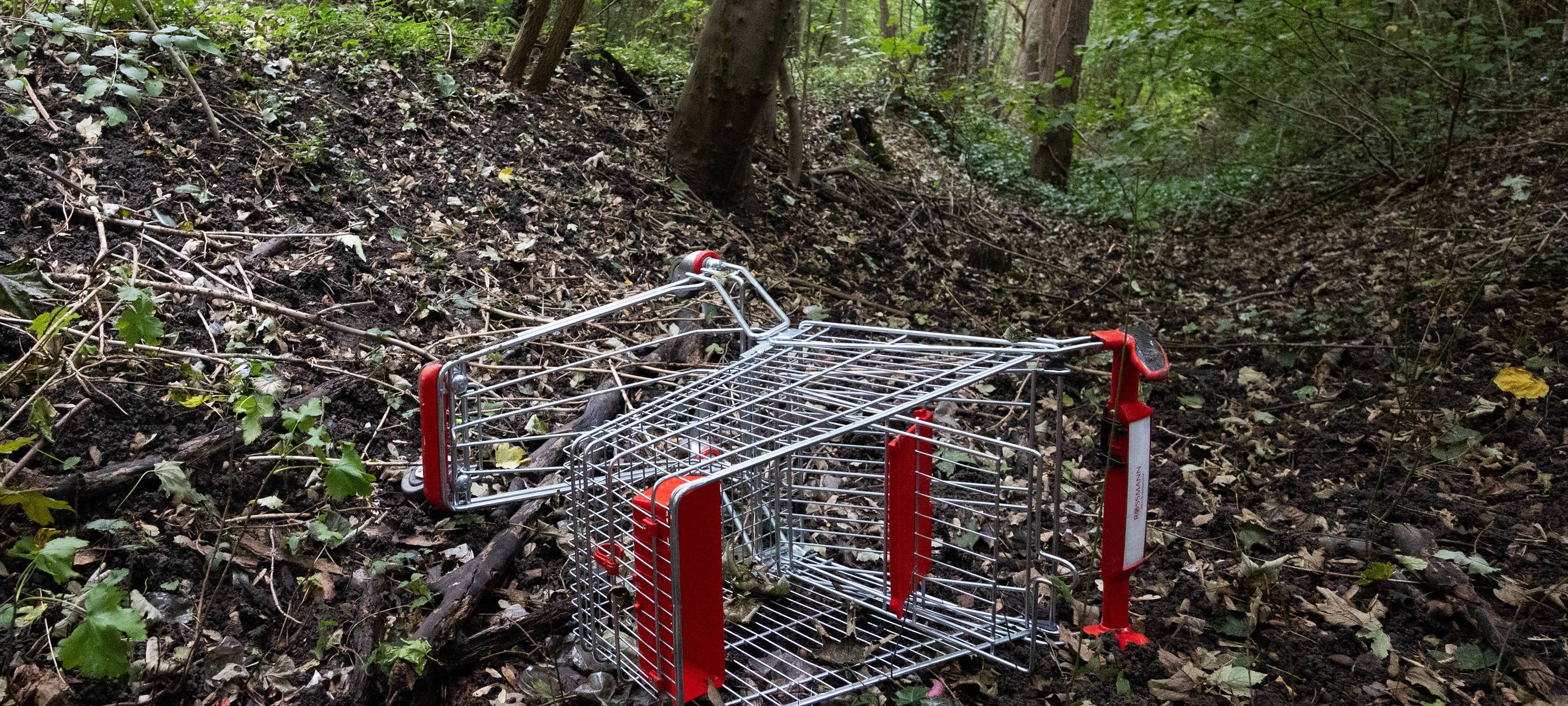 Wilde Einkaufswagen: Gelsenkirchen arbeitet an einer Lösung