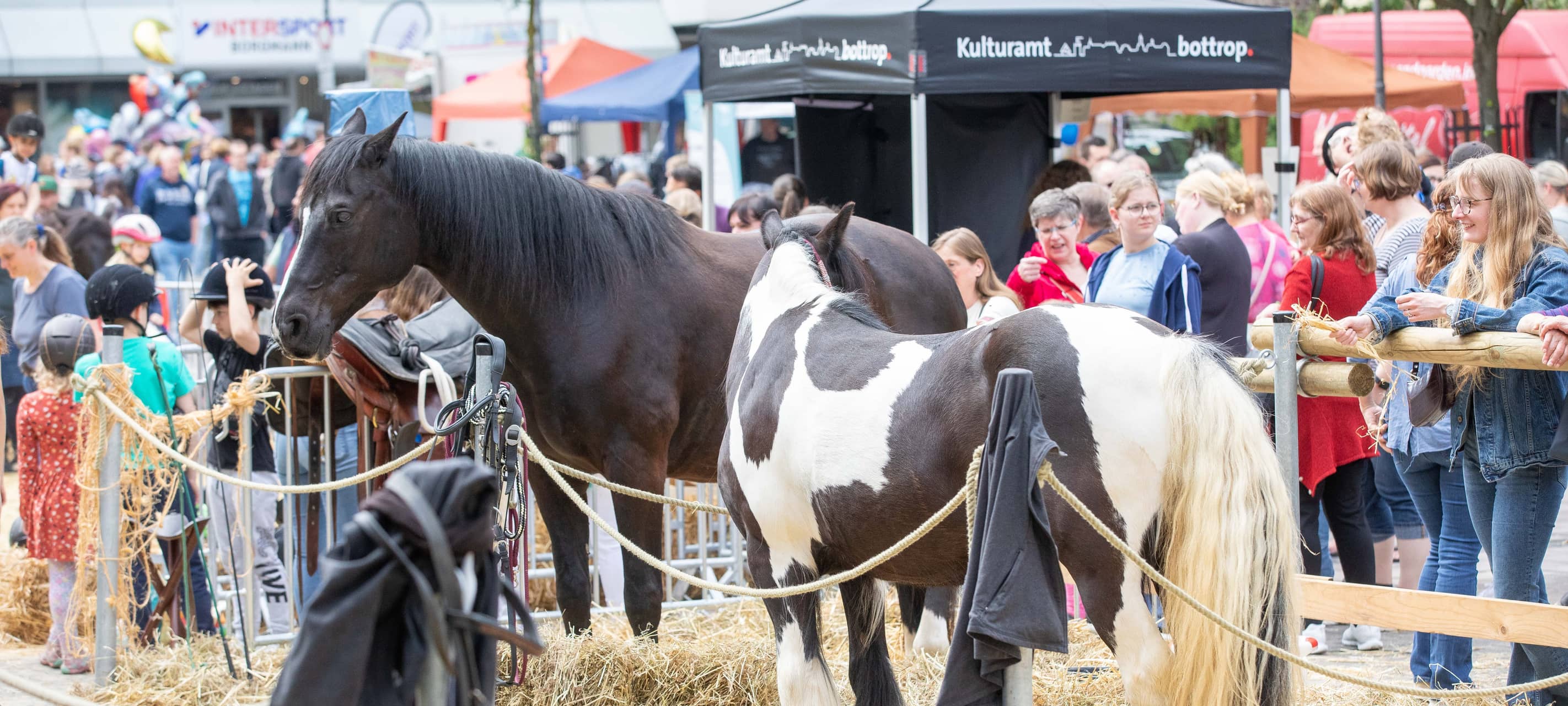Bottrop lädt morgen zum Pferdemarkt ein