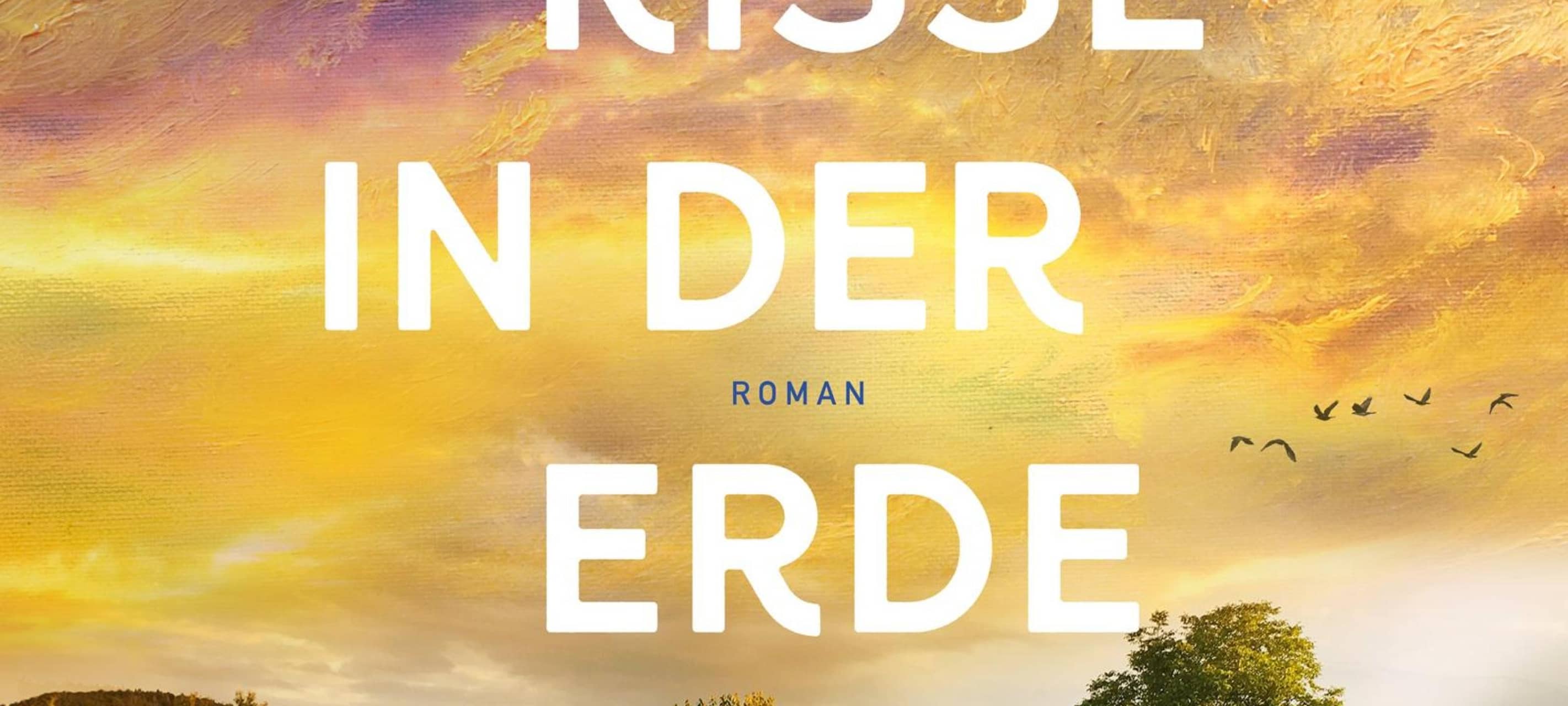 Buchtipp: "Wie Risse in der Erde"