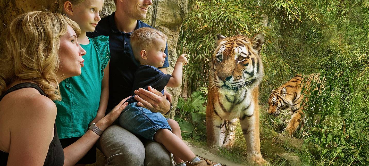 Zoom Erlebniswelt familienfreundlichster Zoo Deutschlands