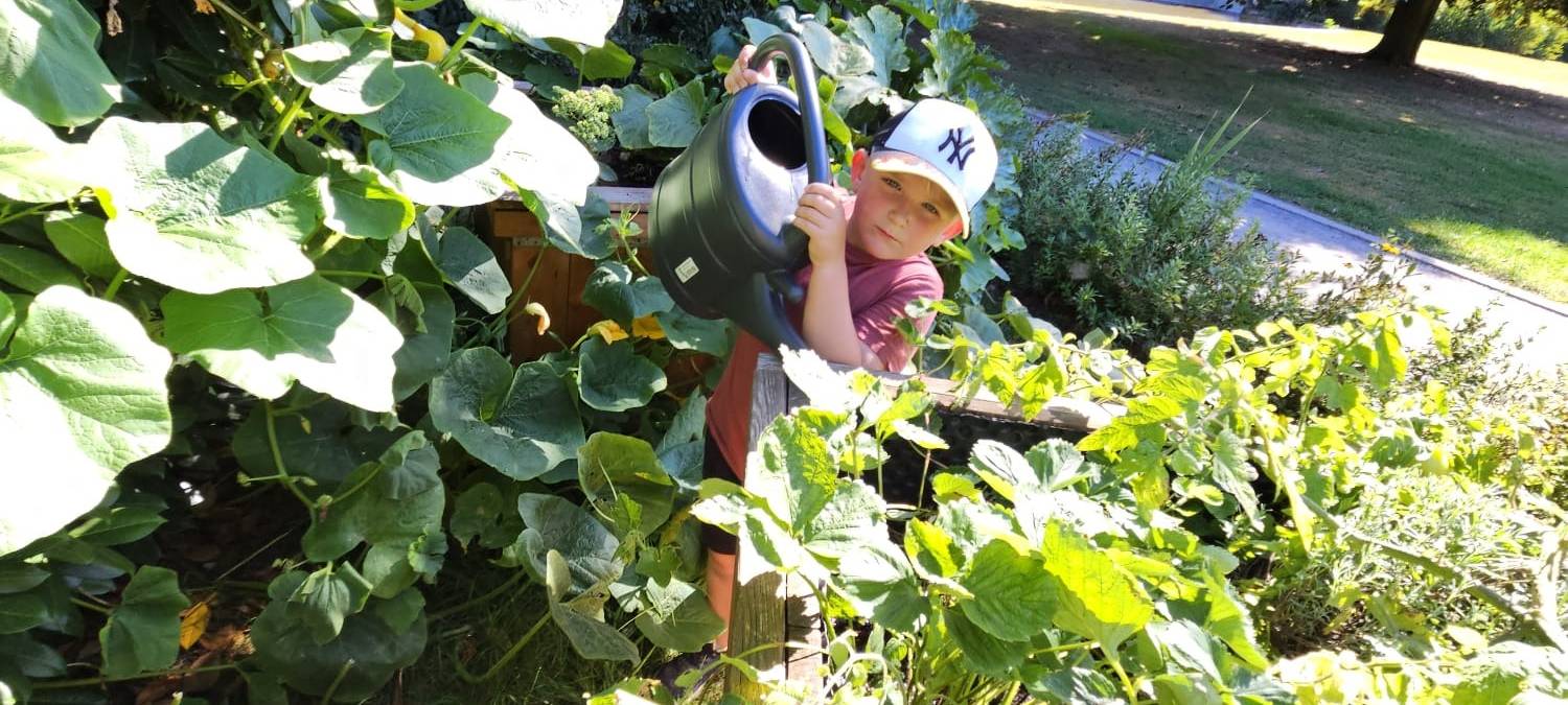 Kinder kümmern sich um Gladbecker Hochbeete