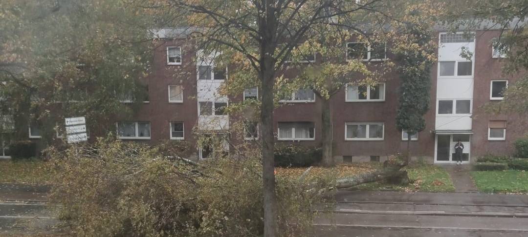 Erste Sturmböen machen sich bemerkbar bei uns