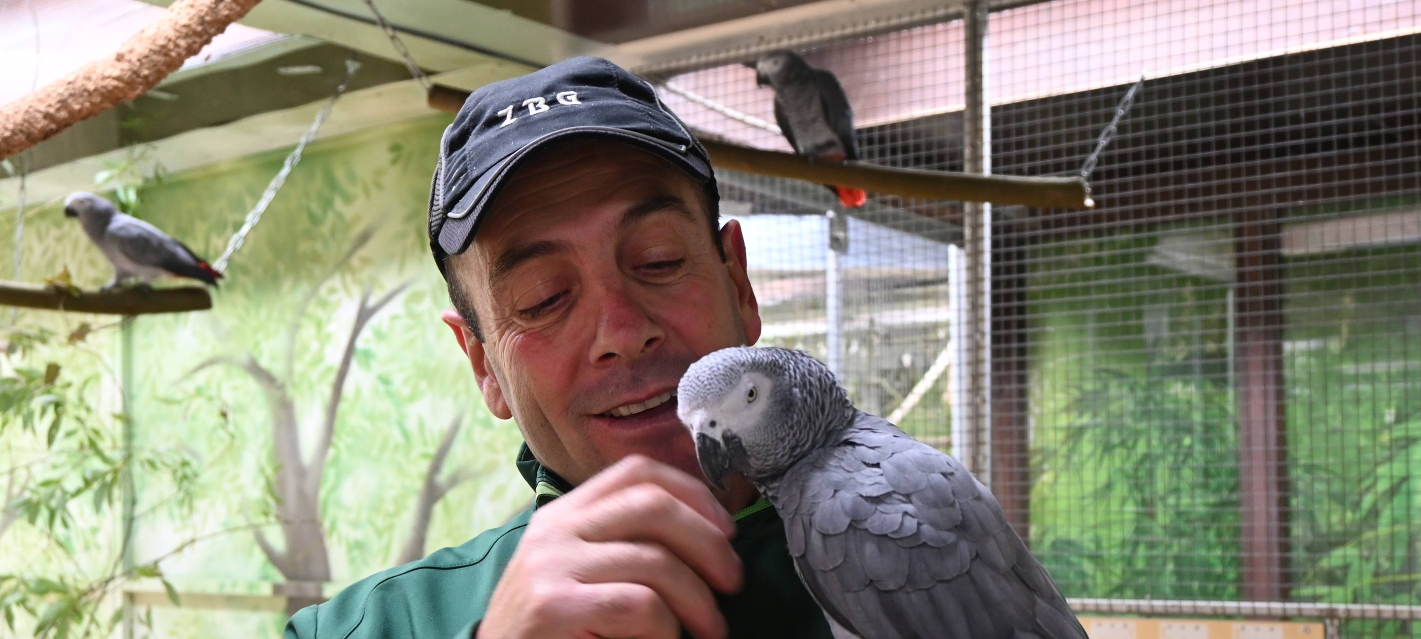 Vogelinsel Wittringen