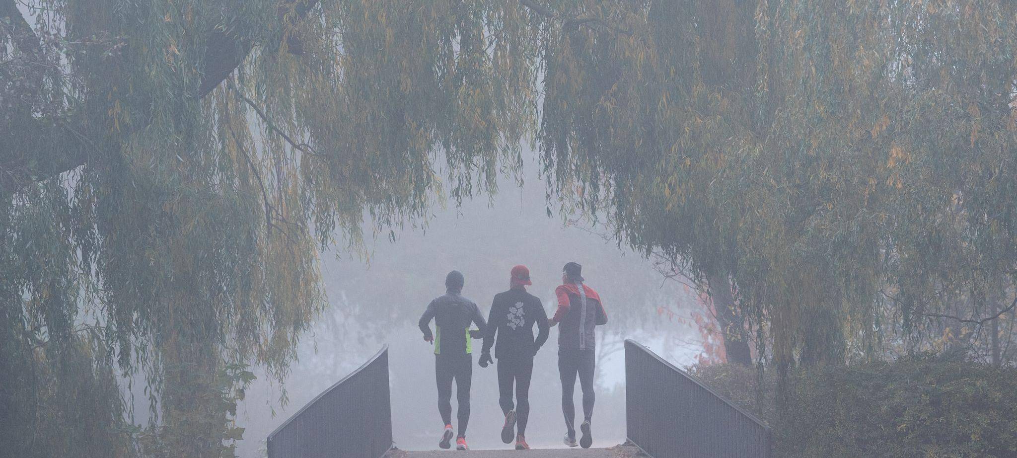 Drei Läufer joggen bei nebligem Wetter
