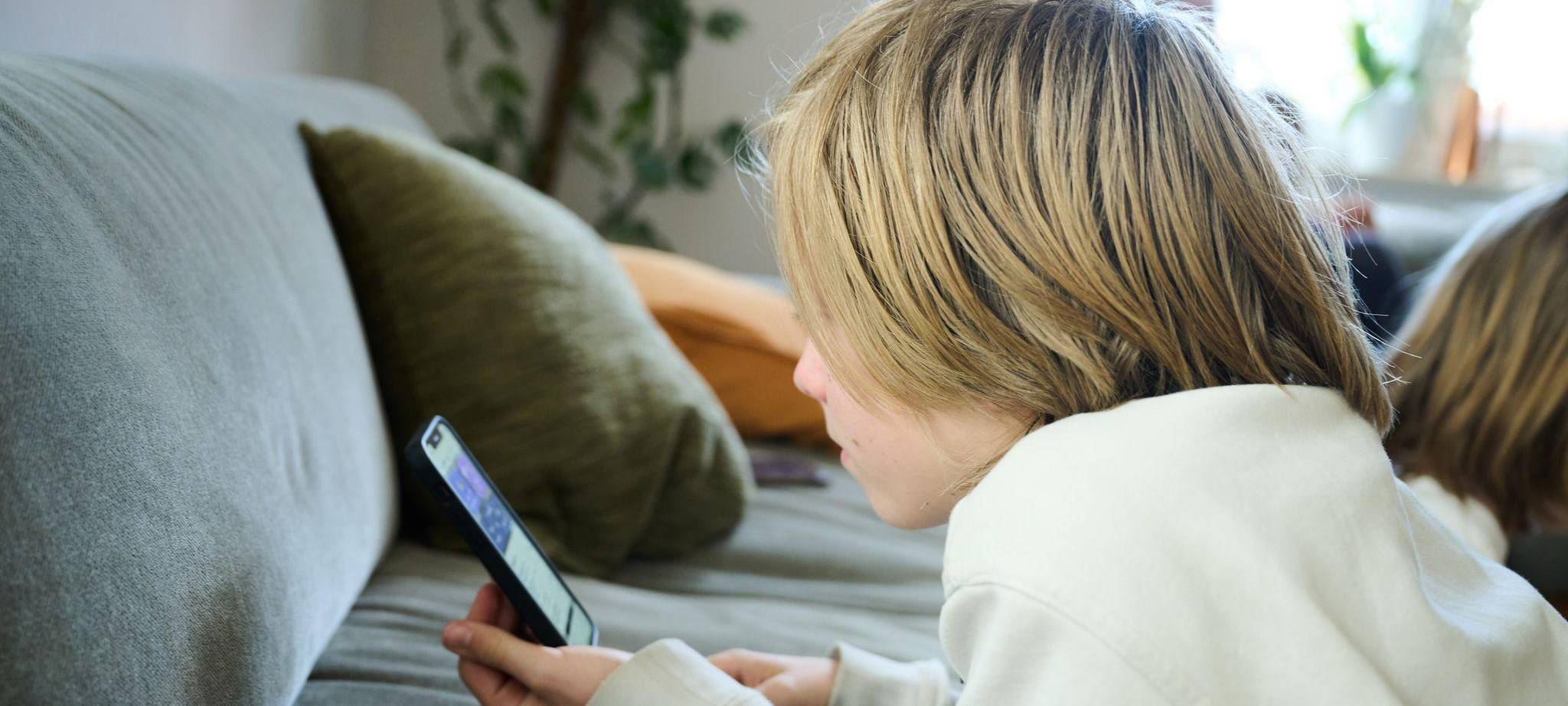 Social-Media-Nutzung