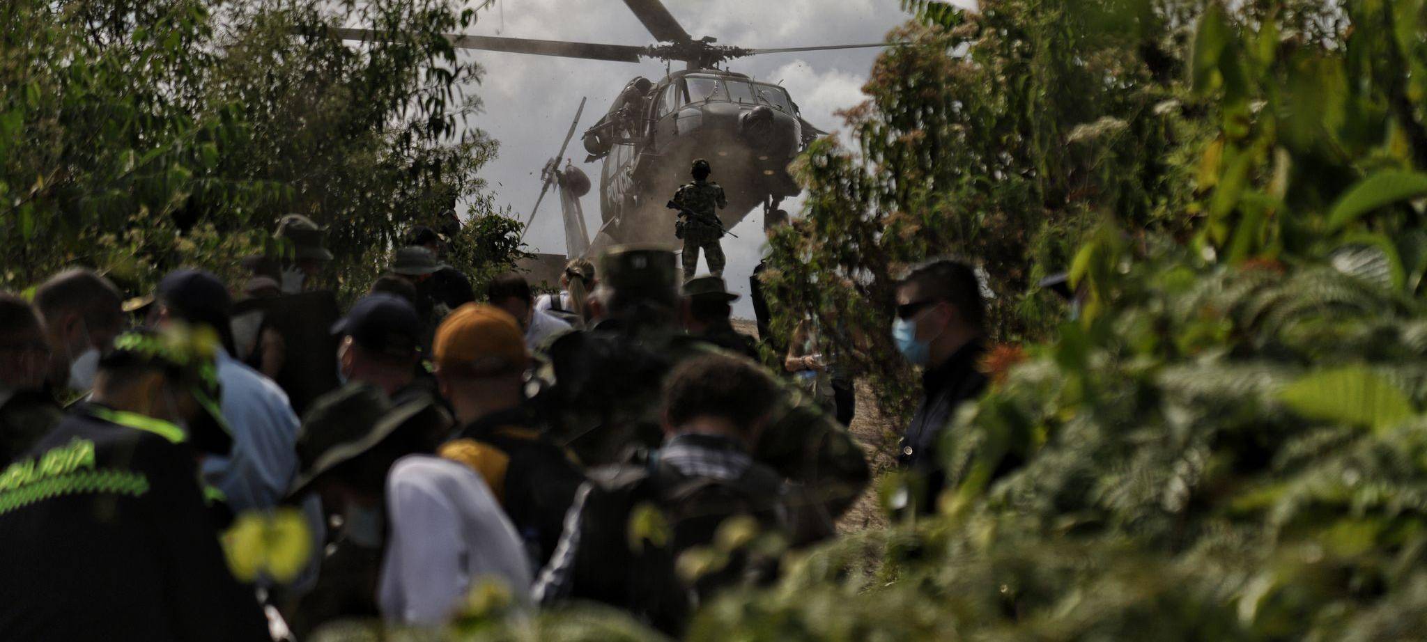 Koka-Anbau in Kolumbien