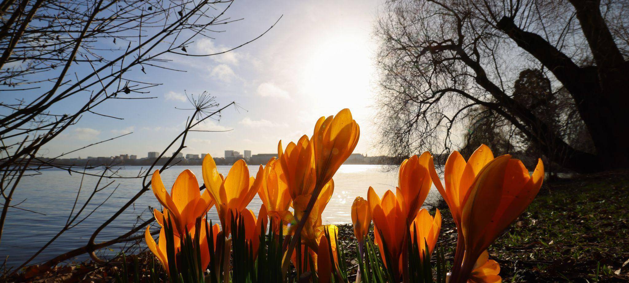 Frühling an der Alster