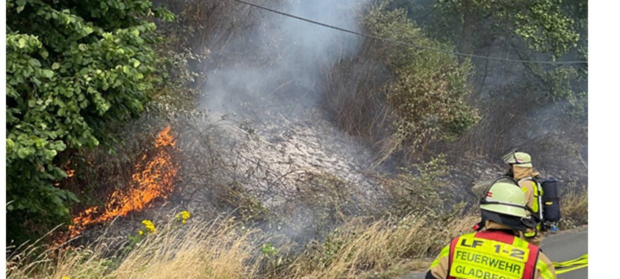 Böschungsbrand A2