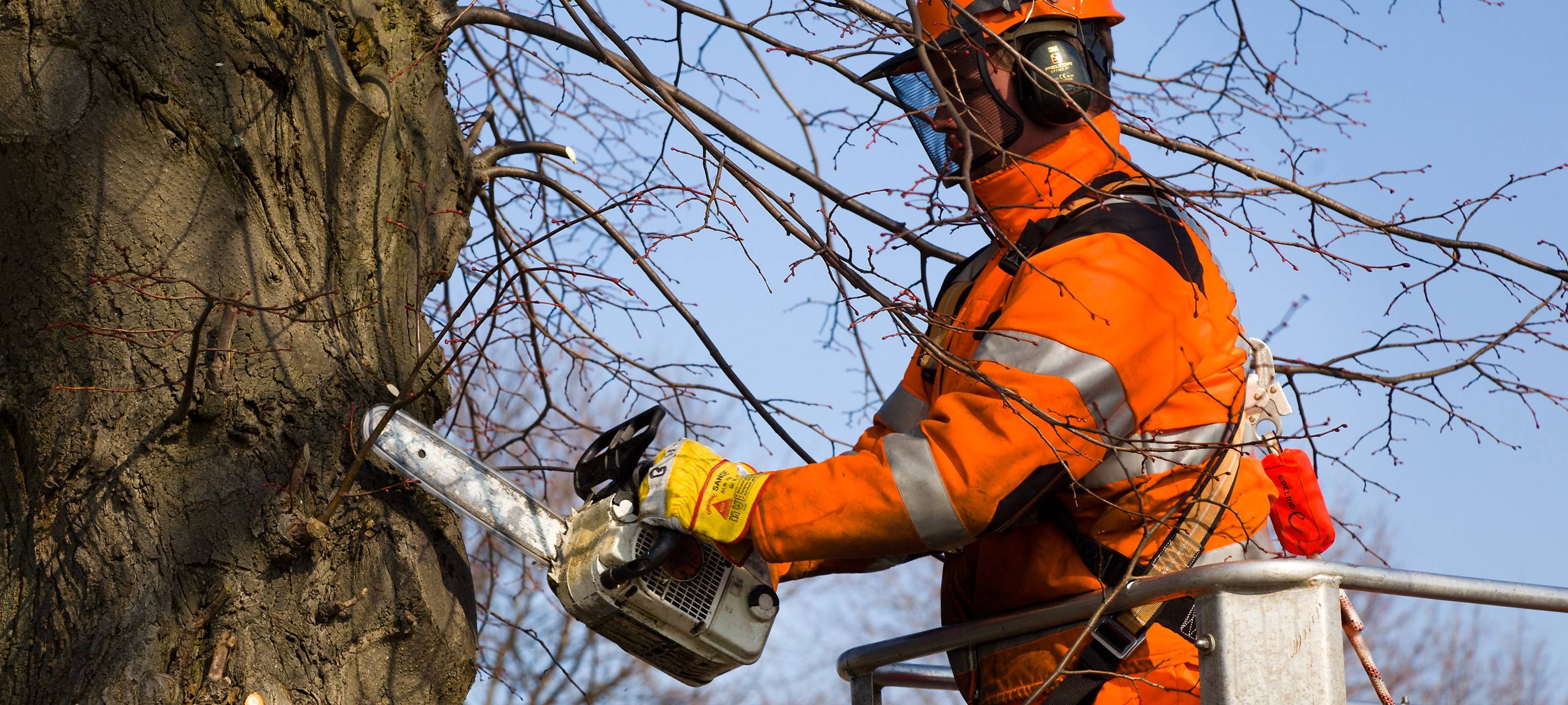 Ein Mitarbeiter von Straßen.NRW schneidet einen Baum neben einer Autobahn zurück.
