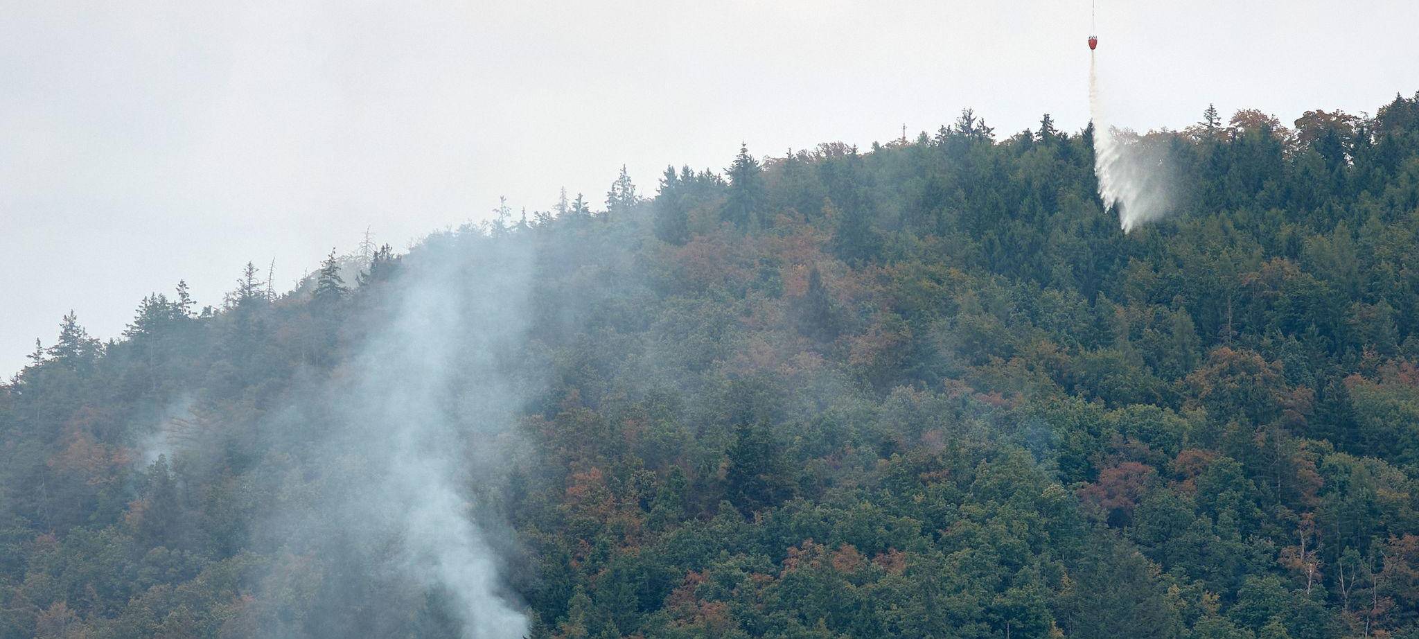 Waldbrand in der Oberpfalz