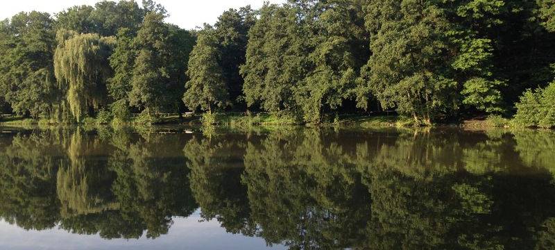 Immer mehr Zerstörungswut im Bottroper Stadtgarten